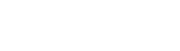 SANITY WHITE.png