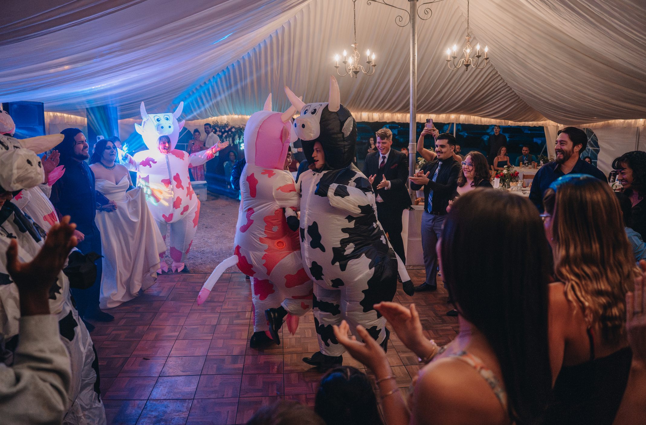 Screenshot 2026-01-20 at 7.55.35 PM.png