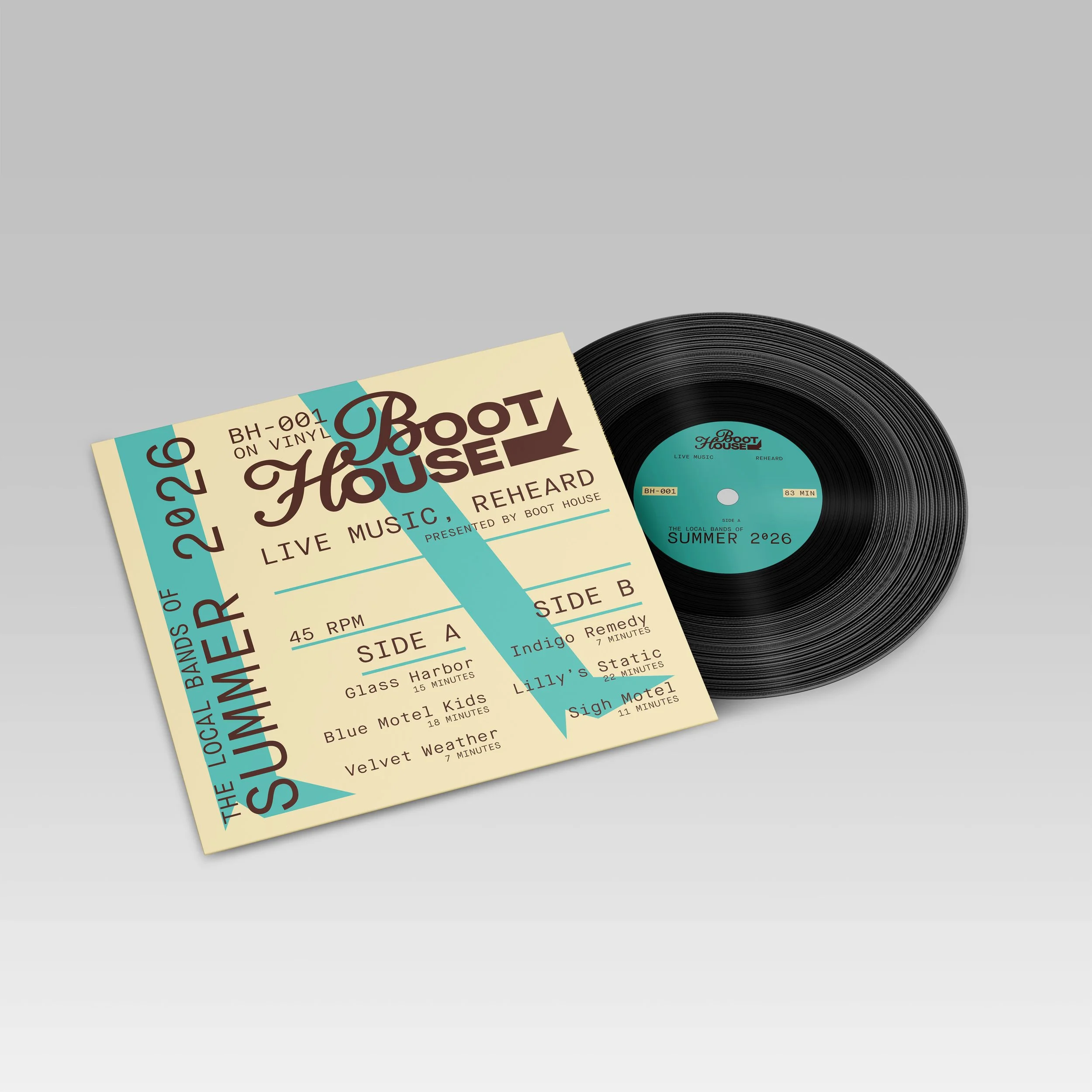 VINYL IN PACKAGE.jpg