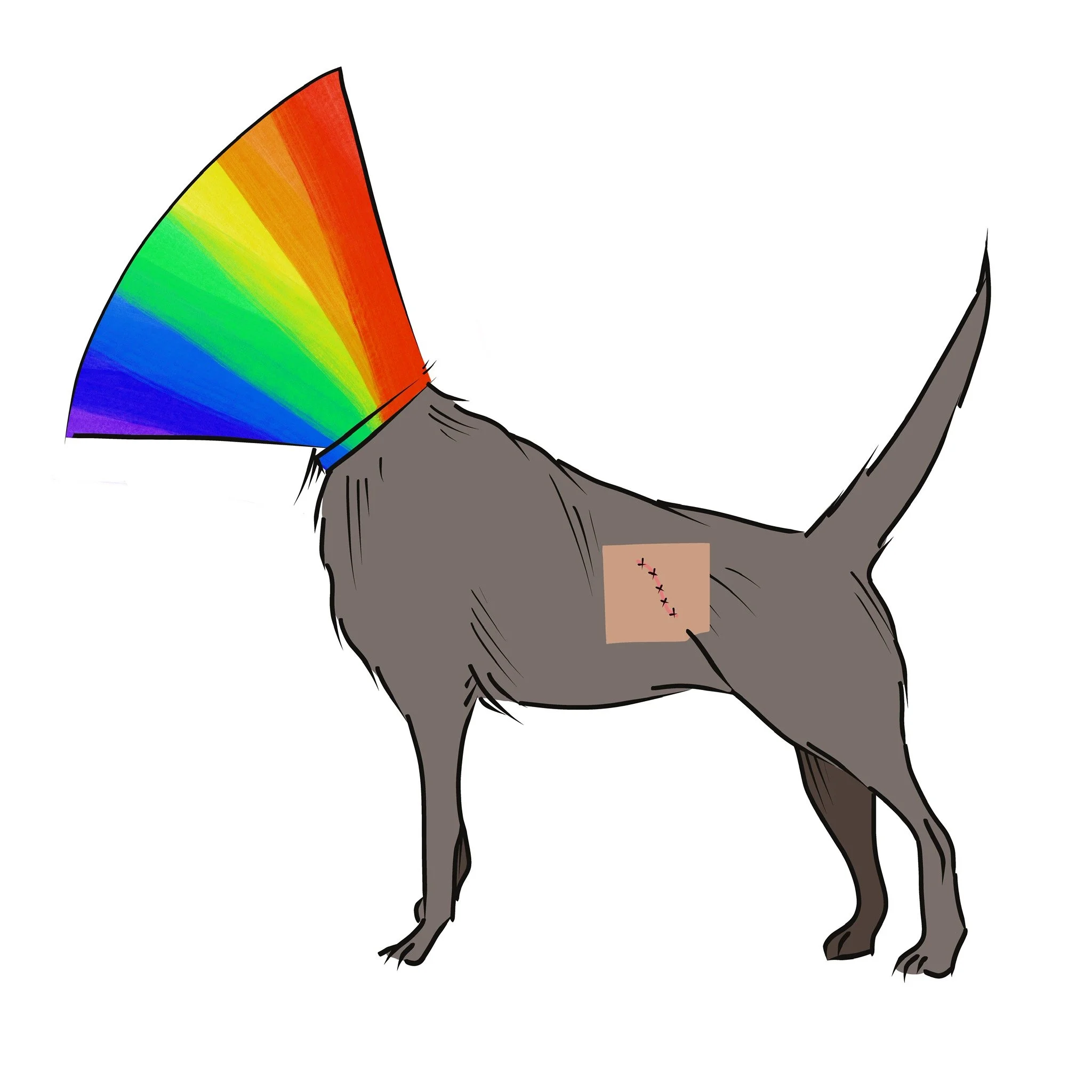 luna-sticker-meghan-walley