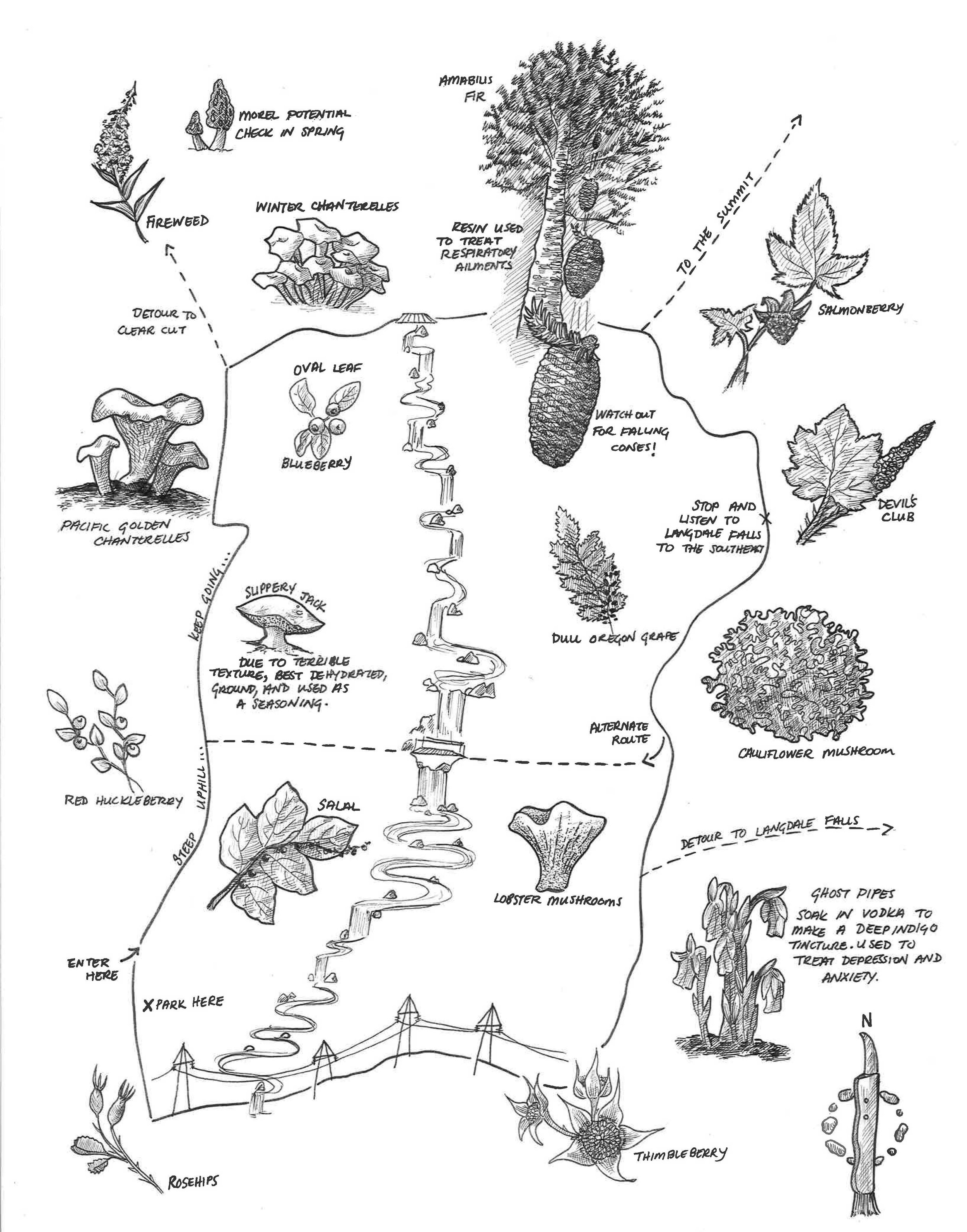Foraging Map.jpg