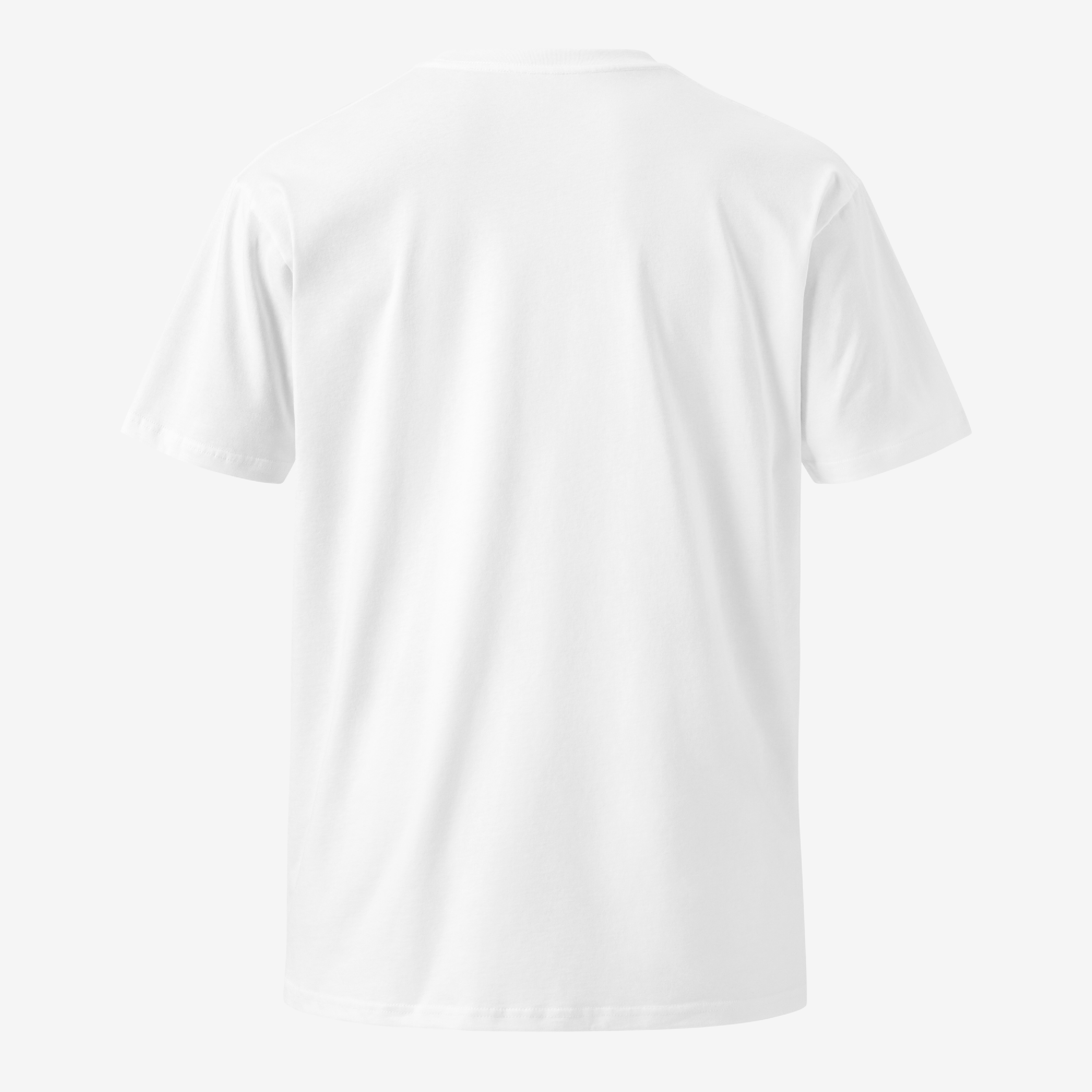 6A1E03A42A4C4_Back.png