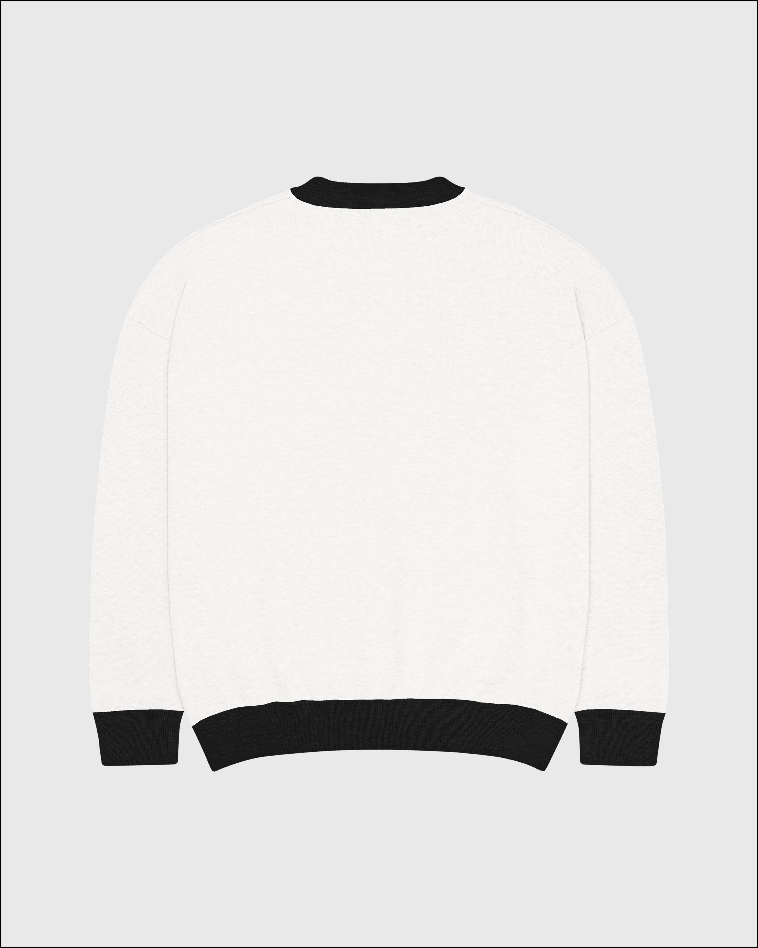Relaxed-Fit-Jacquard-Crew-Sweater-BBP-BACK.png