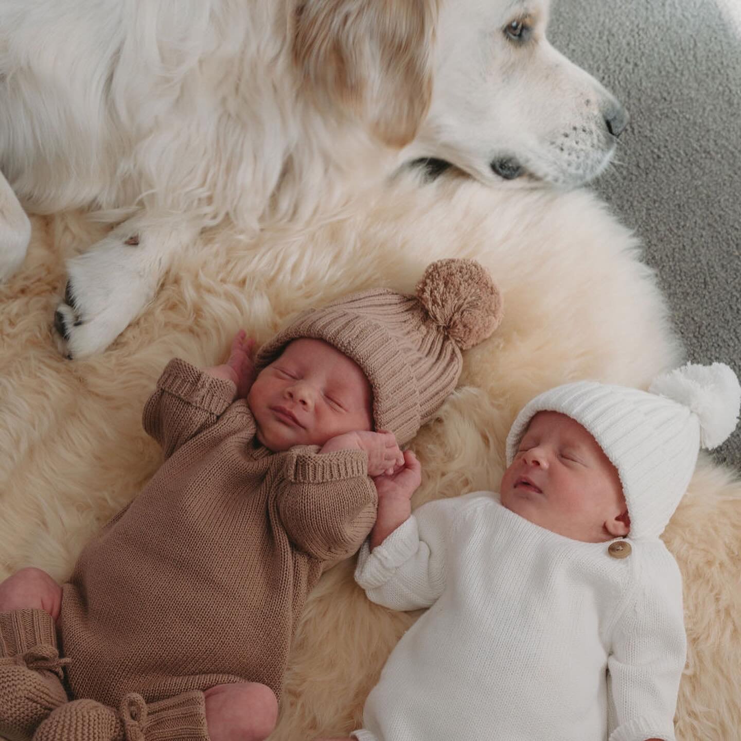 TWIN GIRLS 💖🌟✨! 

Welcome to the world gorgeous baby Matilda and Freya.

It was an absolute delight caring for Sophie and Andrew, sharing in their pregnancy and beautiful birth experience with them at @berth_geelong