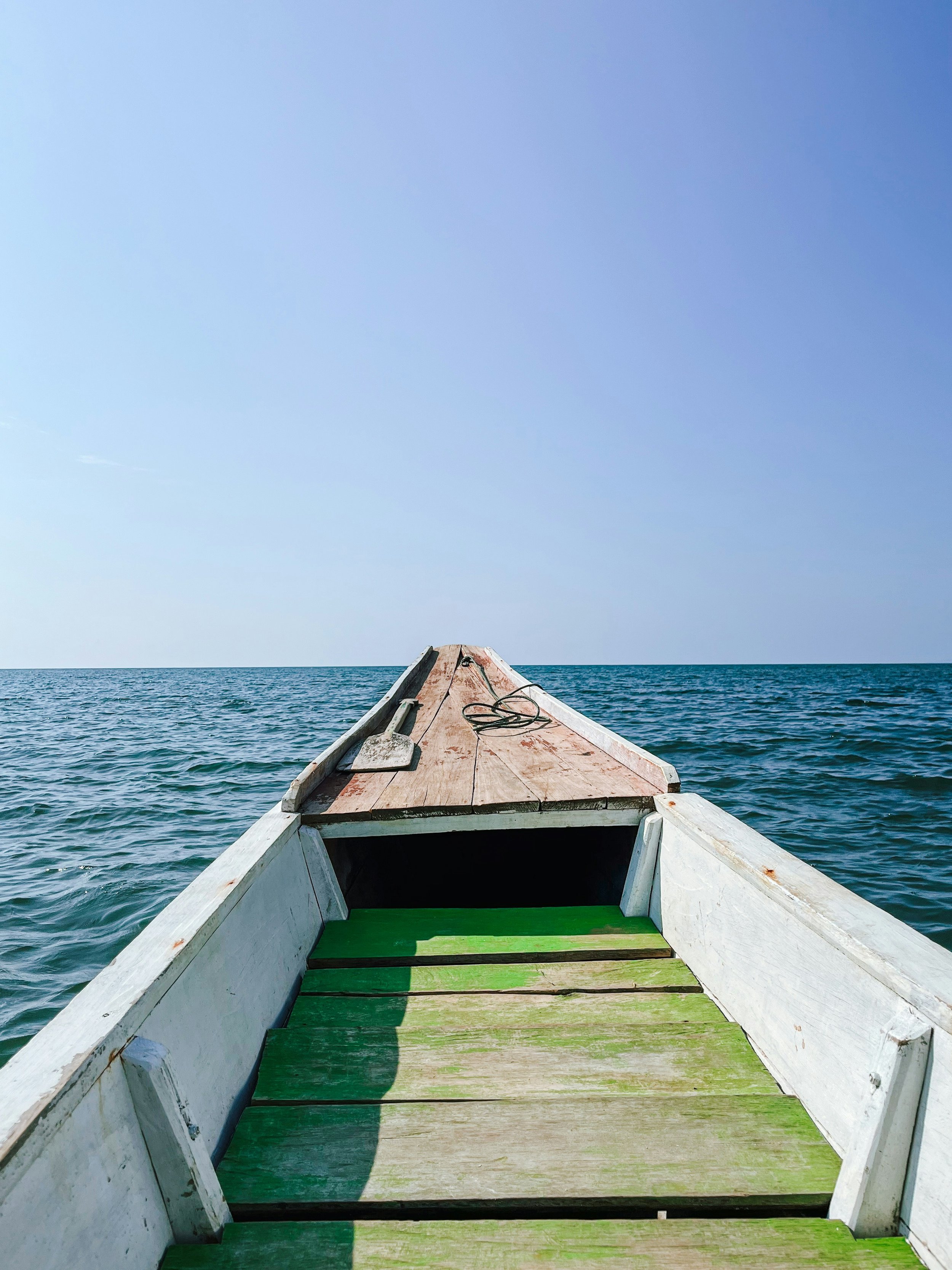 Marine conservation for Conservation International