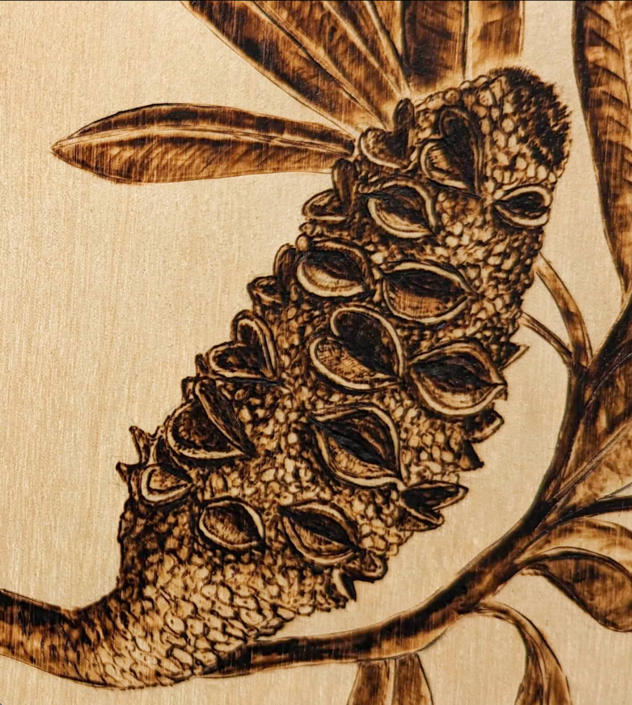 Wood Burning Workshop: Coastal Banksias
