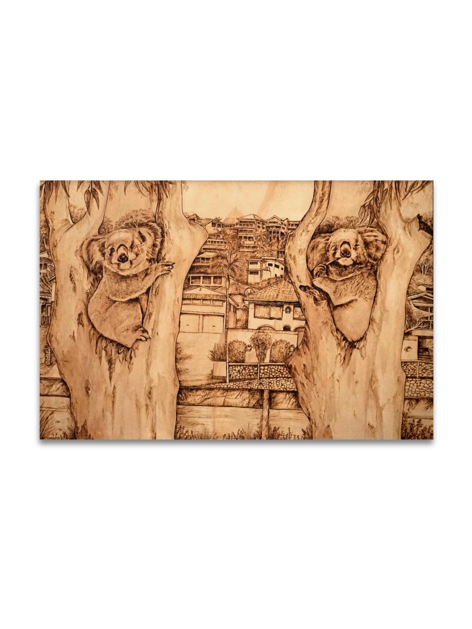 Untitled design(1).png