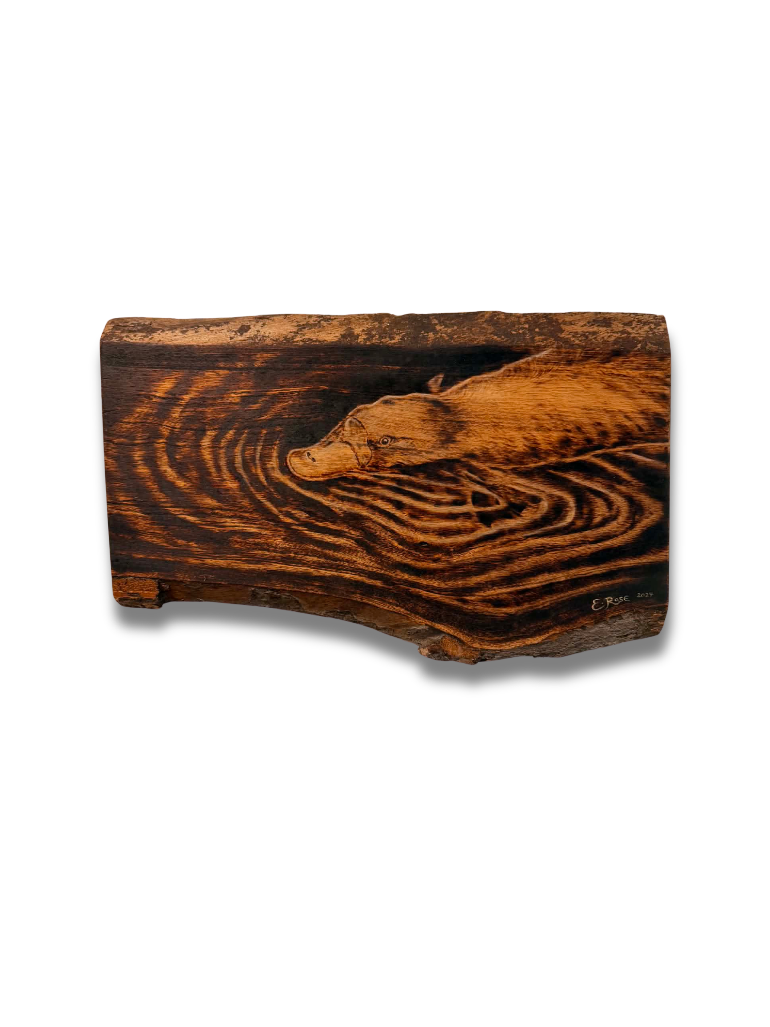 Ripples - Emily Rose Hastie