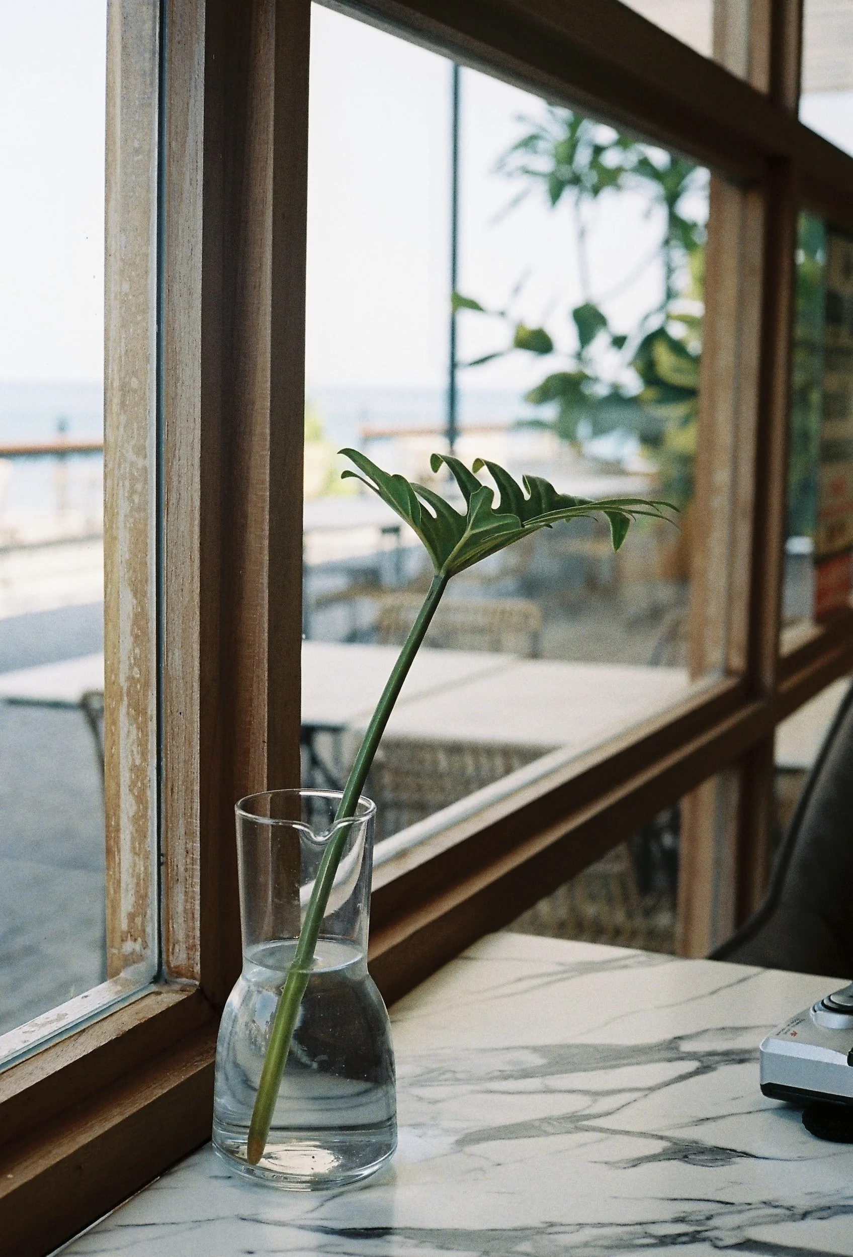 Against the Glass
