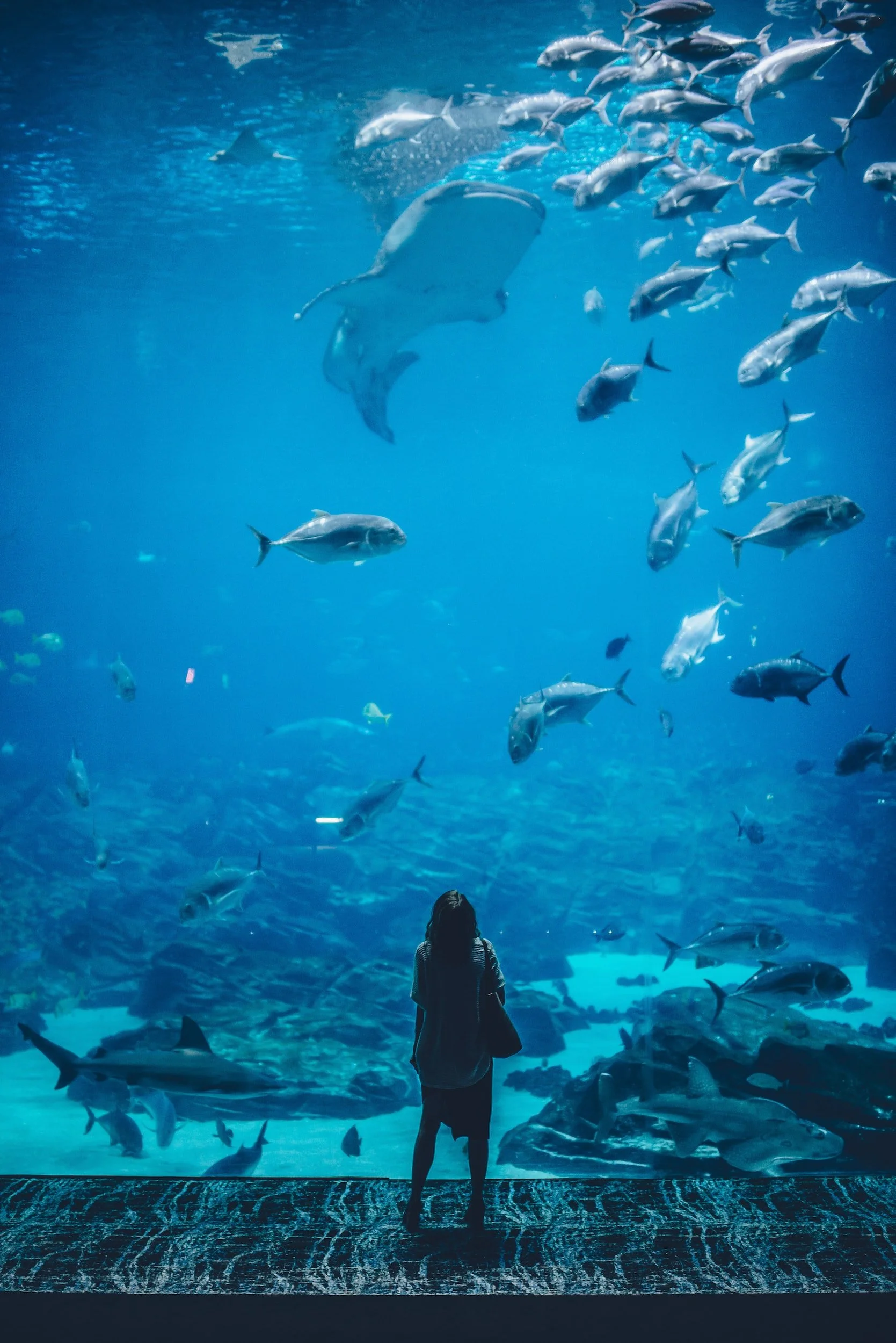 Oxygen and Aquariums