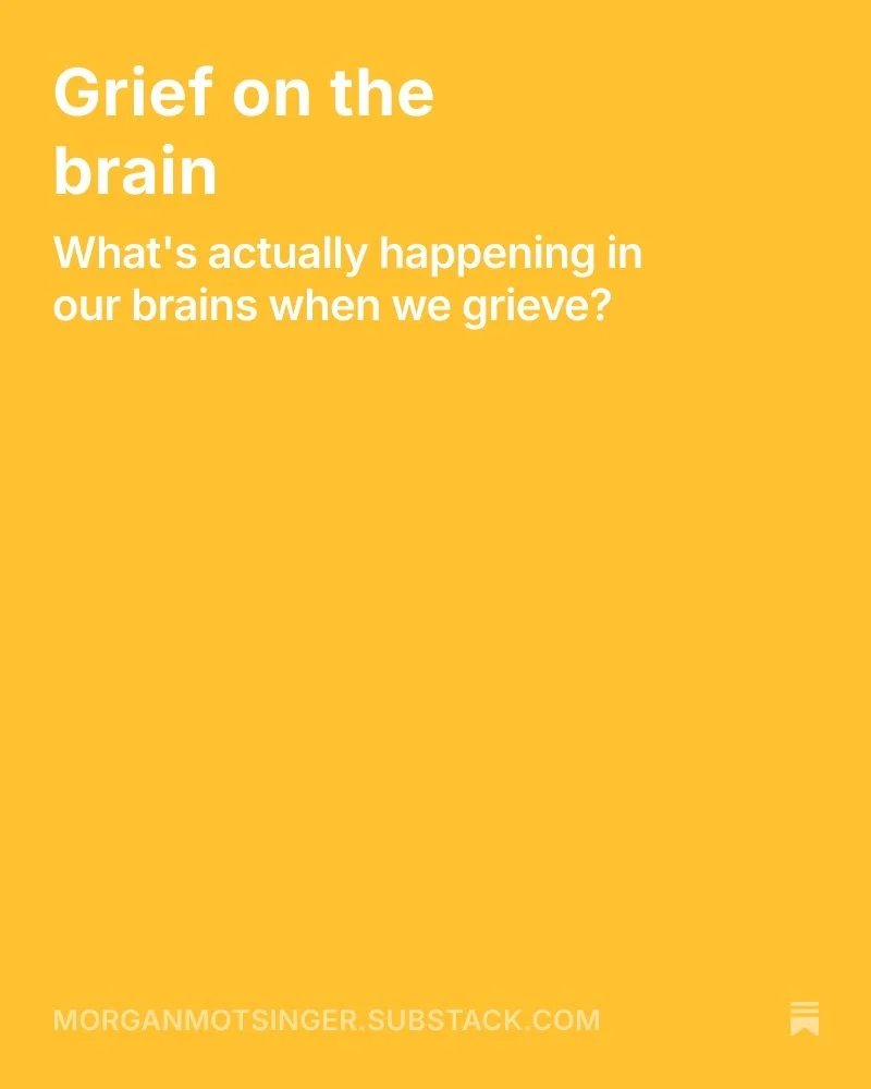 What is happening upstairs in the black box of our skull when we grieve?

Read all about my favorite way to think about grief on my Substack. 

morganmotsinger.substack.com