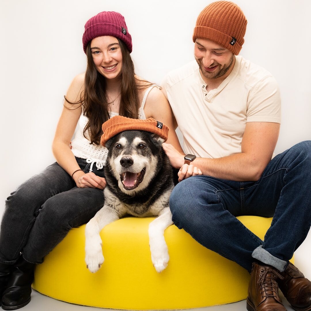 📸🐾 Say hello to Konan, the furry star with a heart of gold! ✨🐕 We had such a great photo session in our new studio. Konan effortlessly stole the spotlight with his mesmerizing eyes and a smile that melts hearts. From his Shepherd loyalty to his Hu