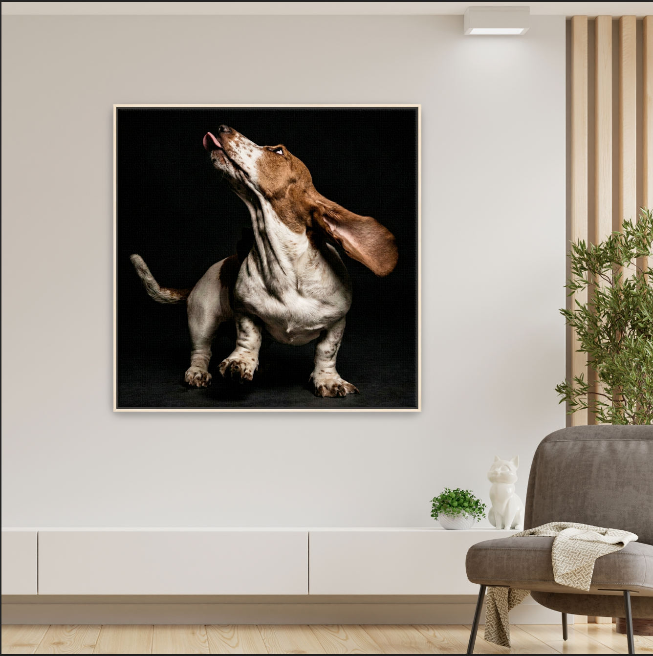 Dog photography events