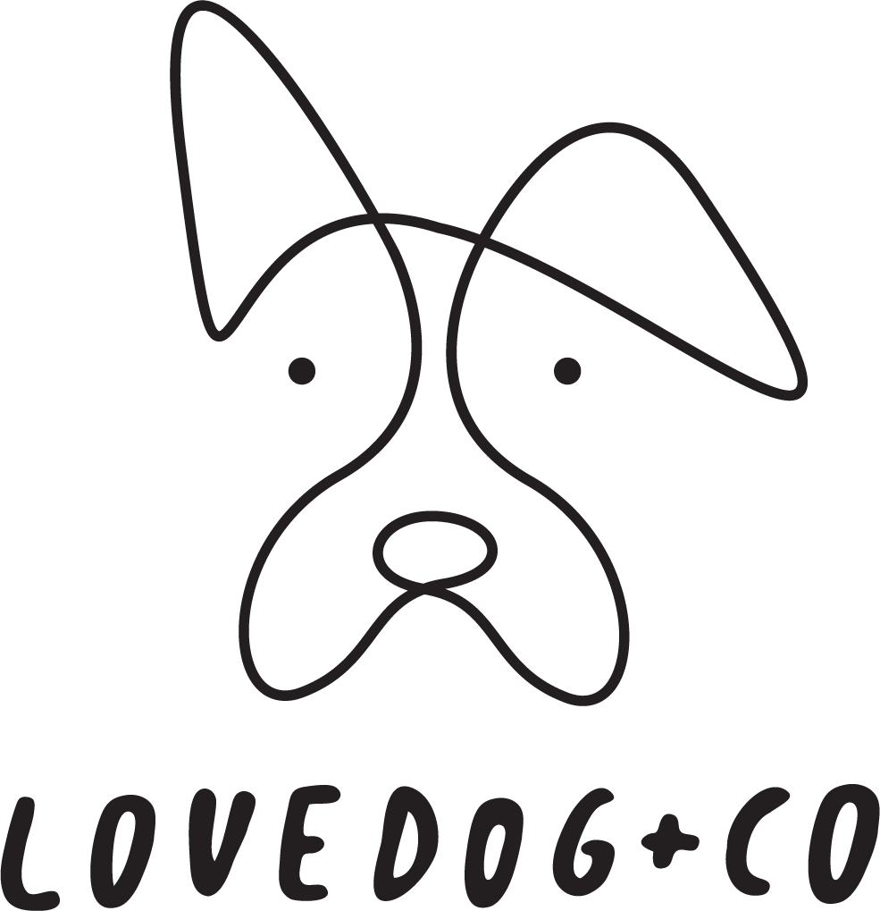 Blog Lovedog Co Fine Art Pet Photography In Carmel CA blog-lovedog-co-fine-art-pet-photography-in-carmel-ca
