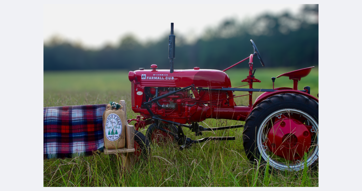 A red International Harvester tractor is in a grassy field, with a wooden bench in front holding a plaid blanket and a bag with a Christmas tree design.