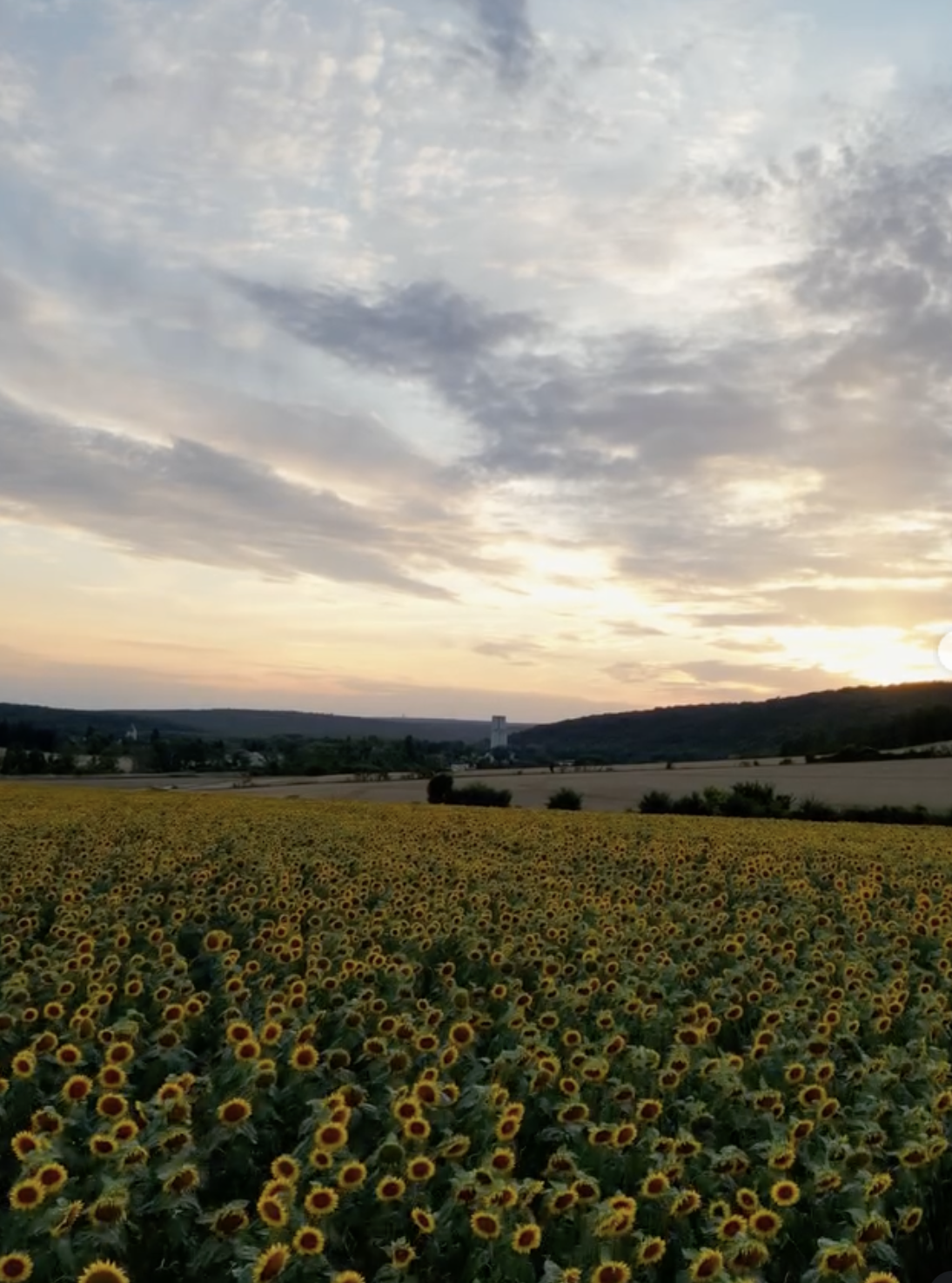 V & L - Champagne, France