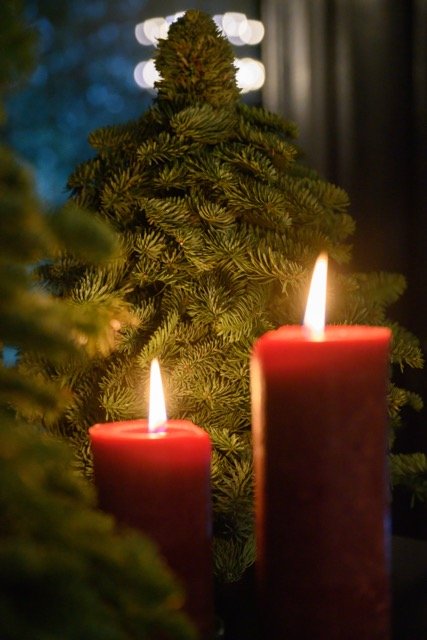 Styling Business Event - Estaimpuis, Belgium