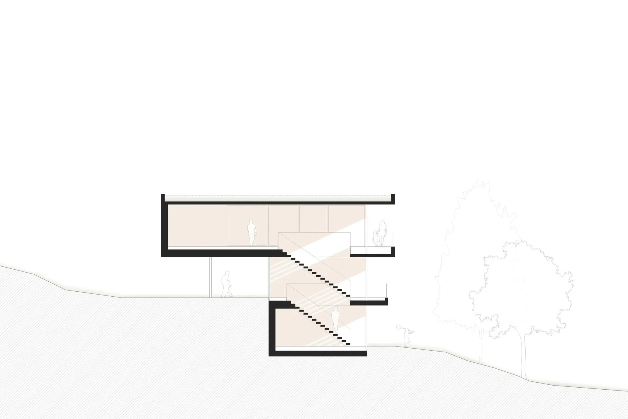 Querschnitt