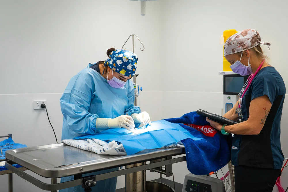Business photography at Sugarland Vet Hospital Bundaberg