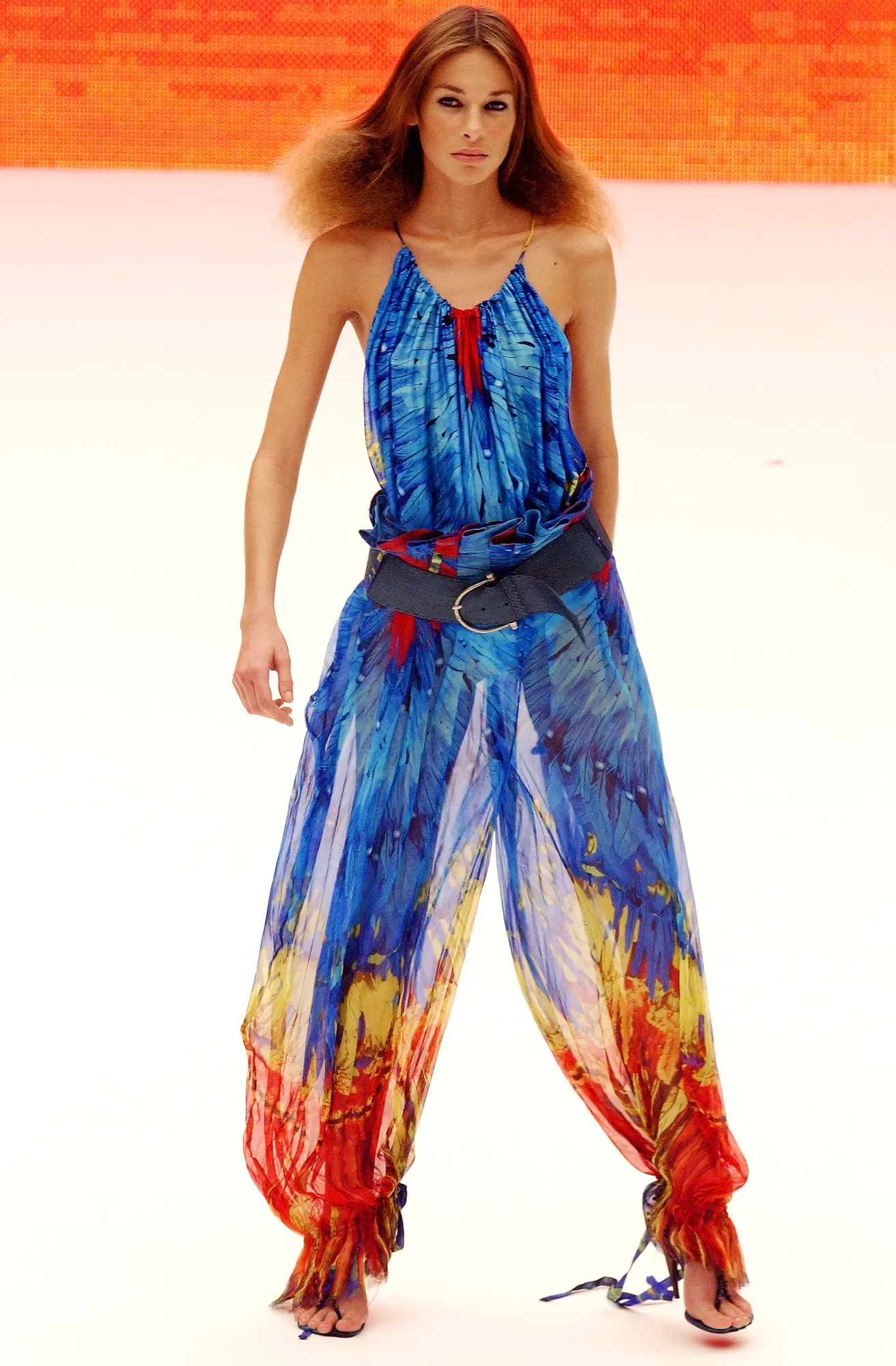 alexander-mcqueen-spring-2003-ready-to-wear-00550h-daniela-lopes.jpg.webp
