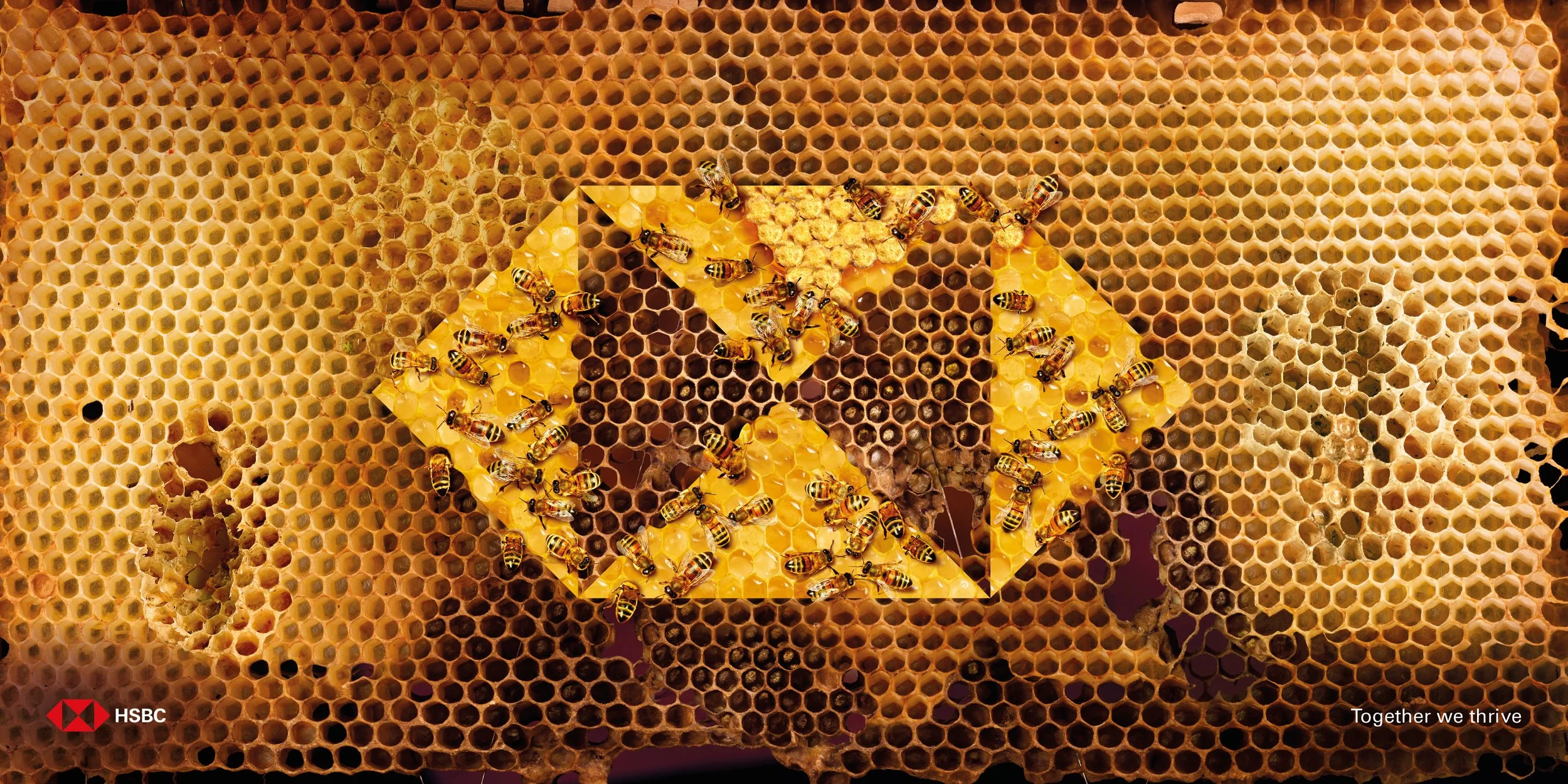 HSBC_Hexes9.jpg