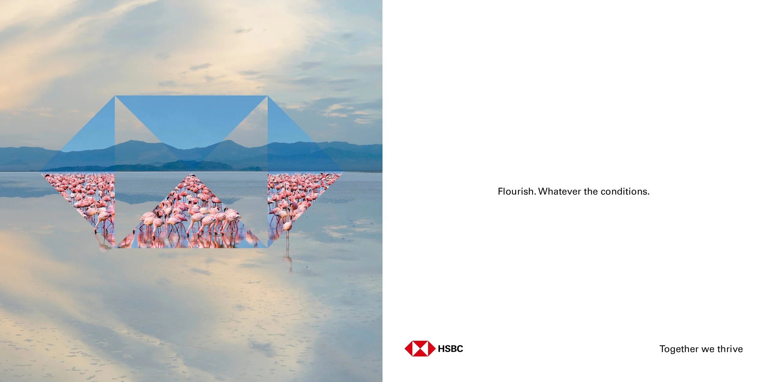 HSBC_Hexes5.jpg