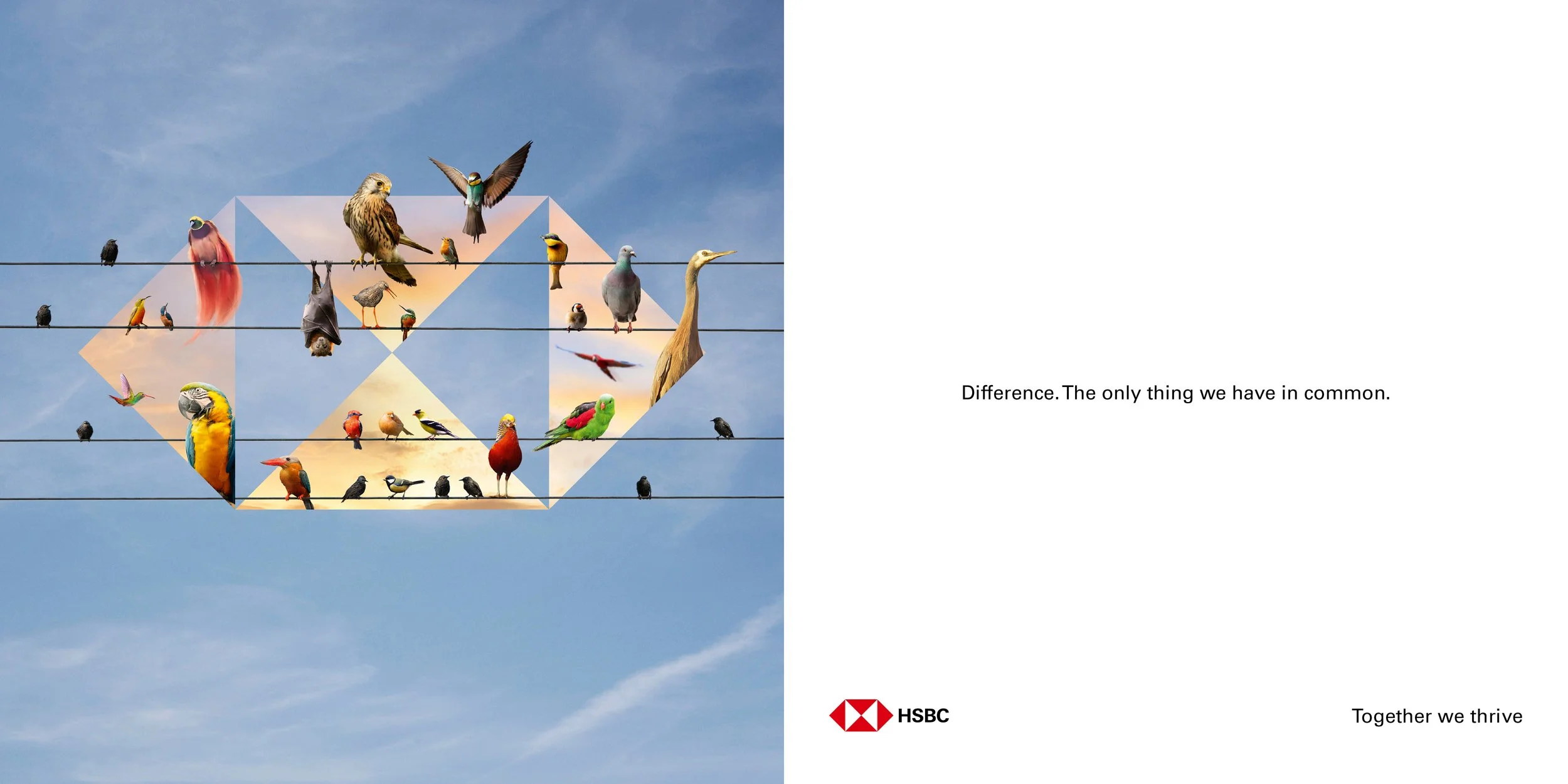 HSBC_Hexes2.jpg