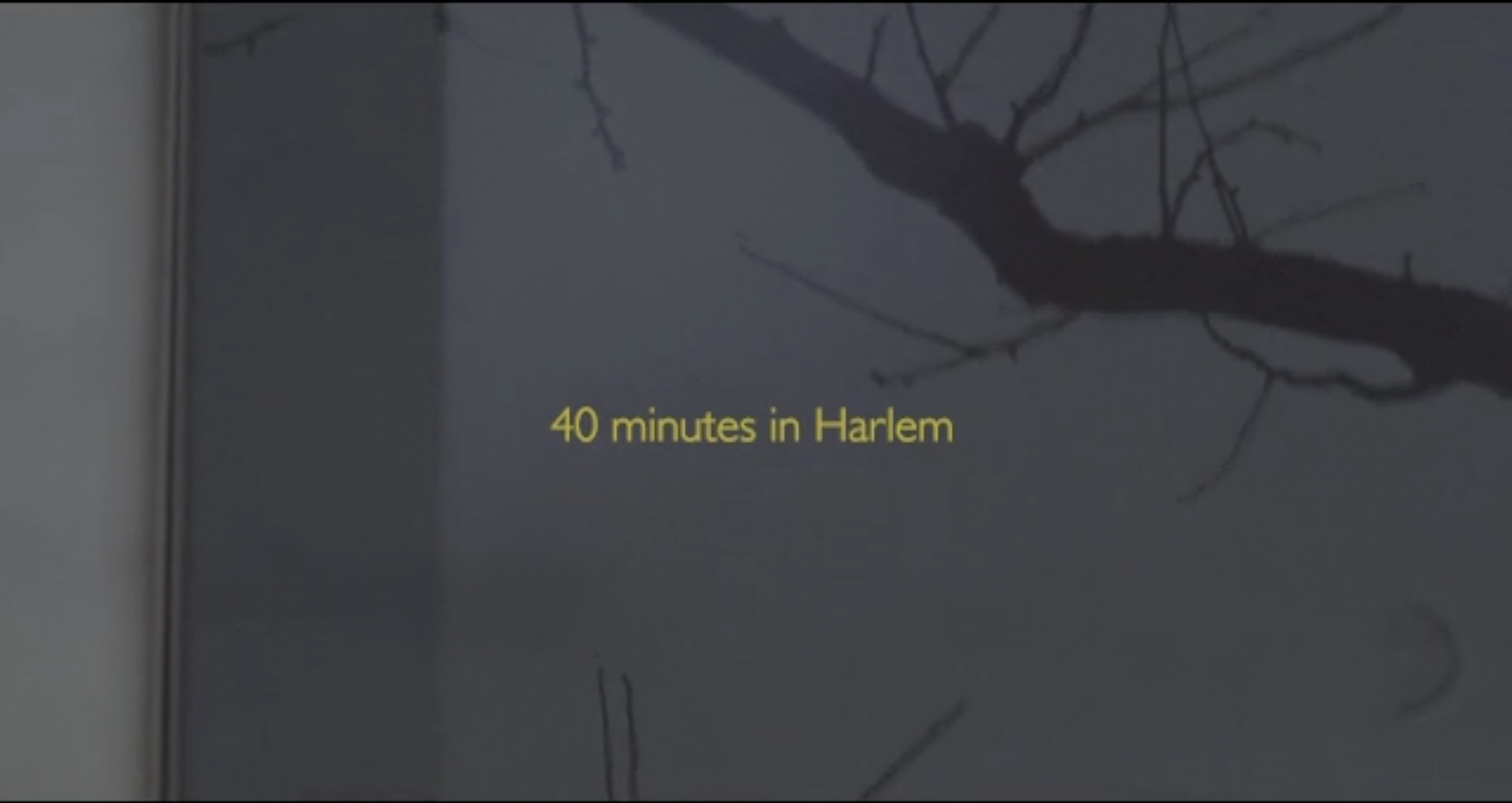 Screenshot 2024-04-25 at 5.04.59 PM.png