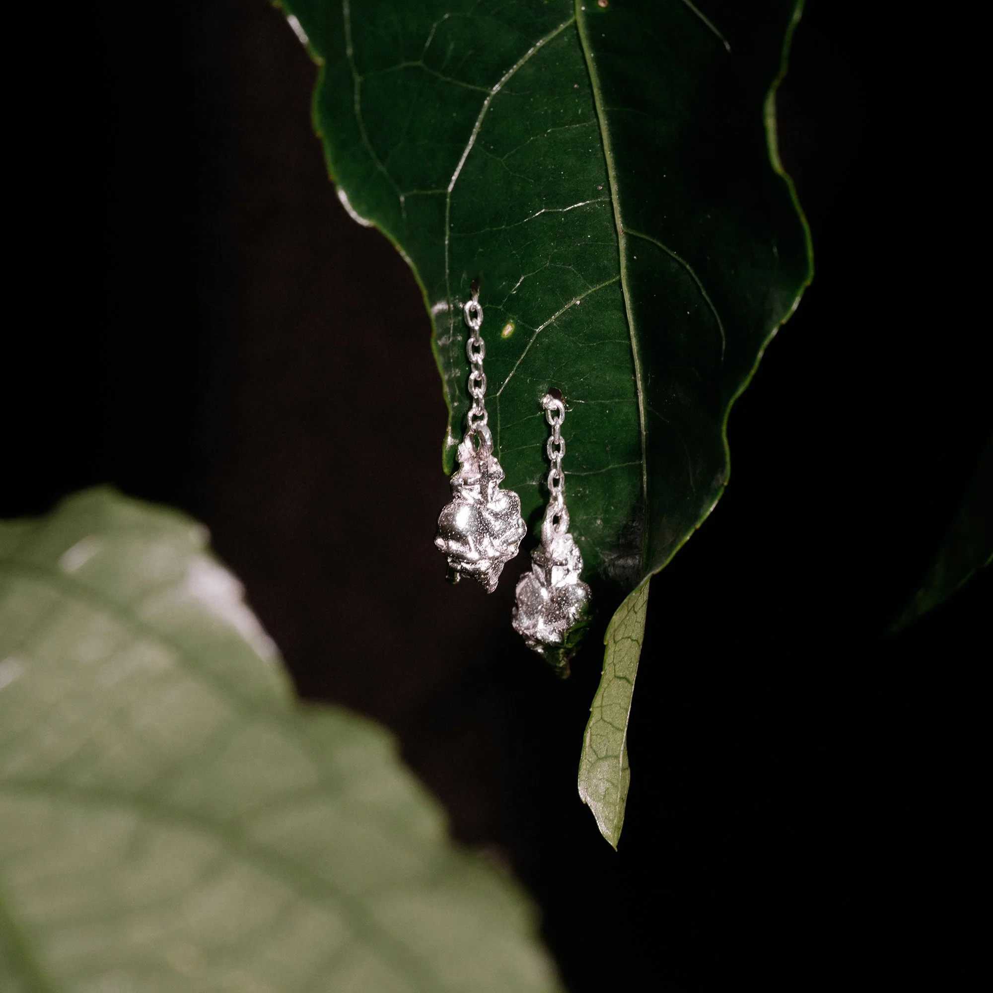 _DSC2779 squaresmall.jpg