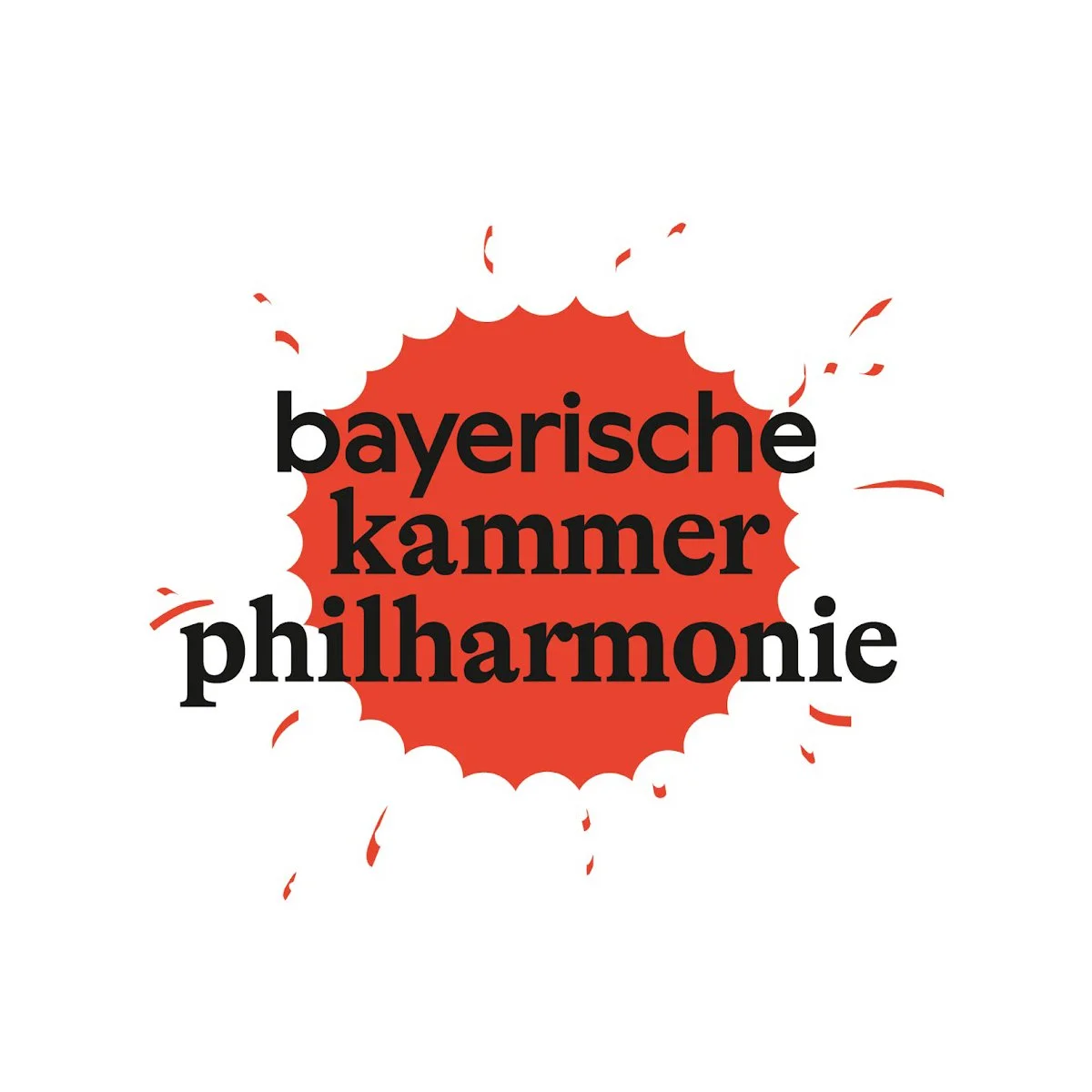 Blogbeitrag-bayerische-kammerphilharmonie-1024x683.jpg