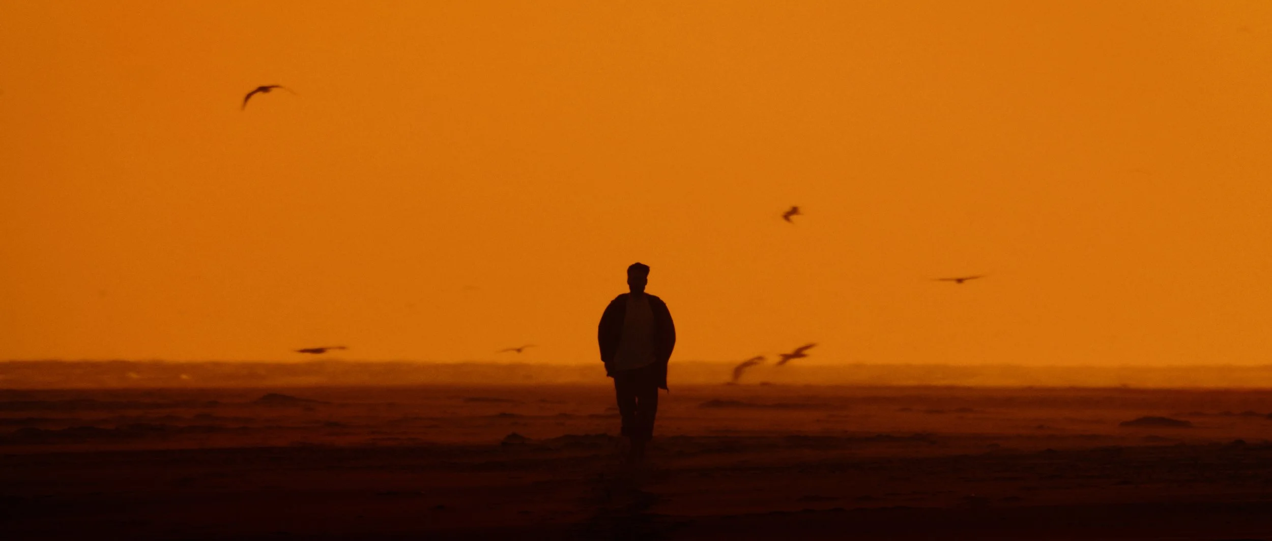 Moze Naél & Winterdagen "Wegdromen"