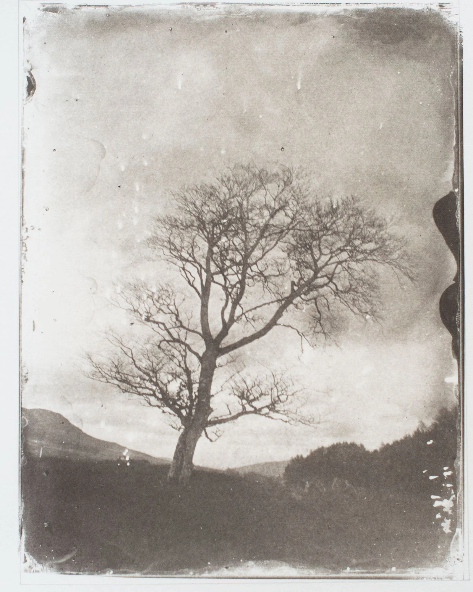 Salt Print on art paper from Wet Plate on Glass