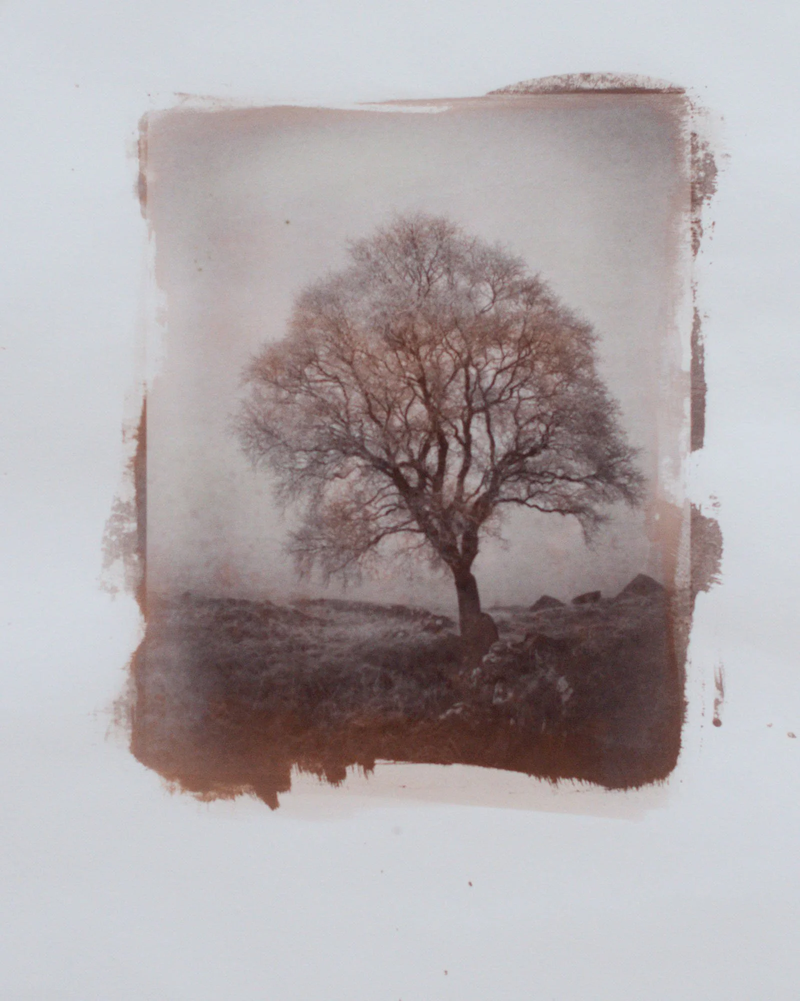 Salt Print on art paper from digital negative