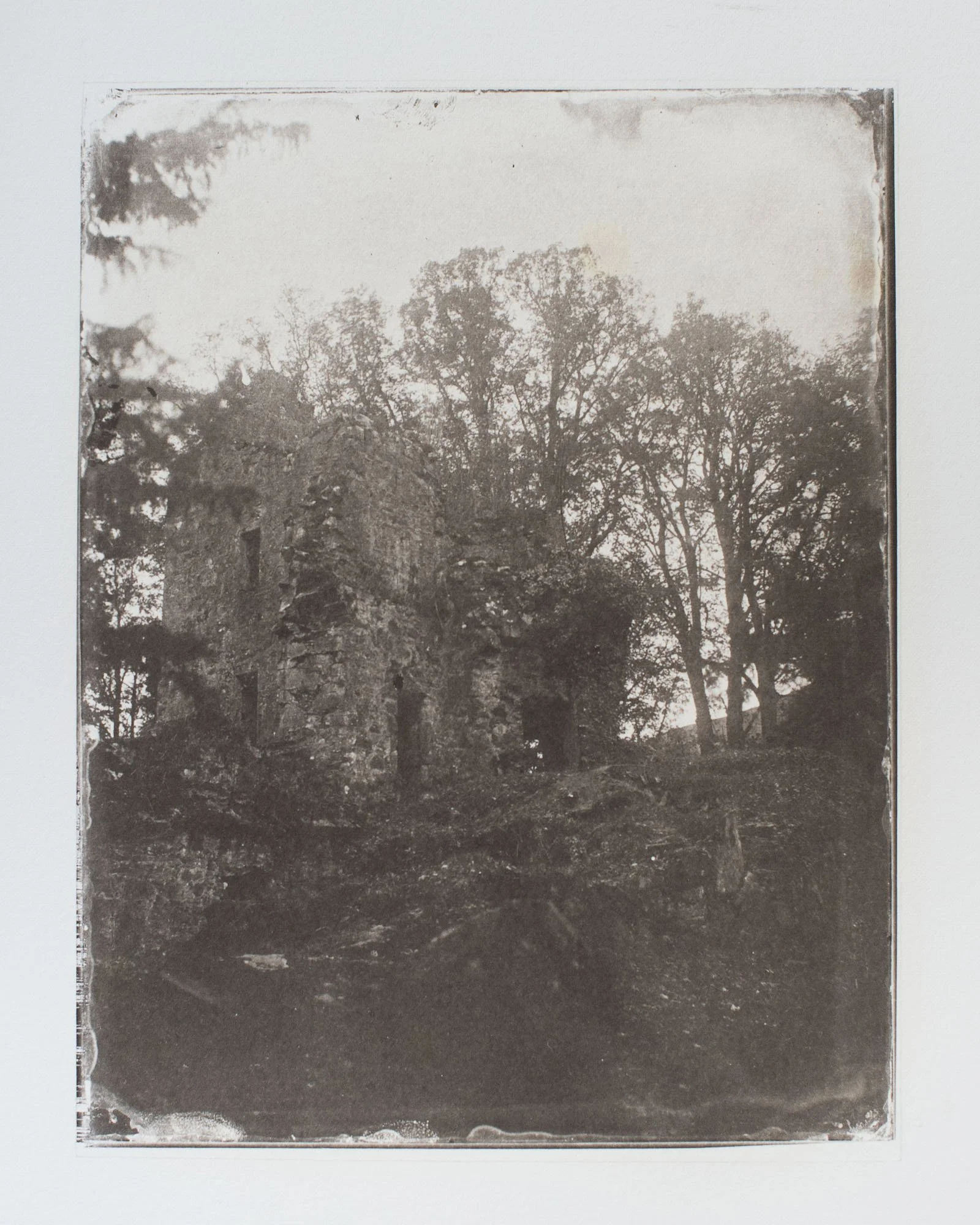 Salt Print on art paper from Wet Plate on Glass