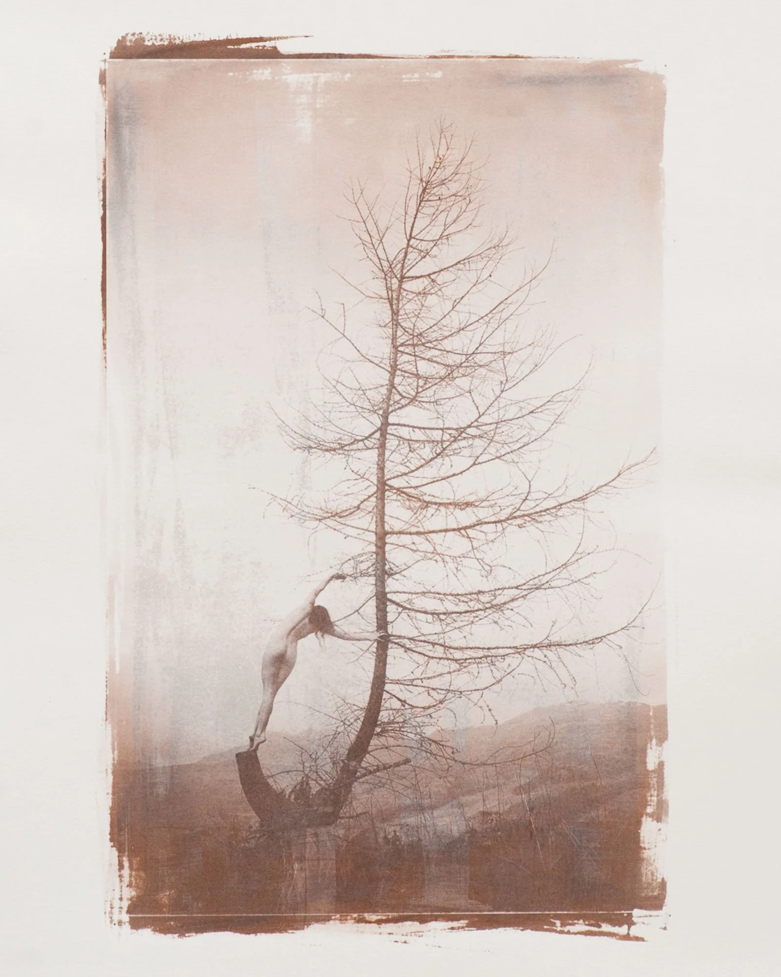 Salt Print on art paper from digital negative