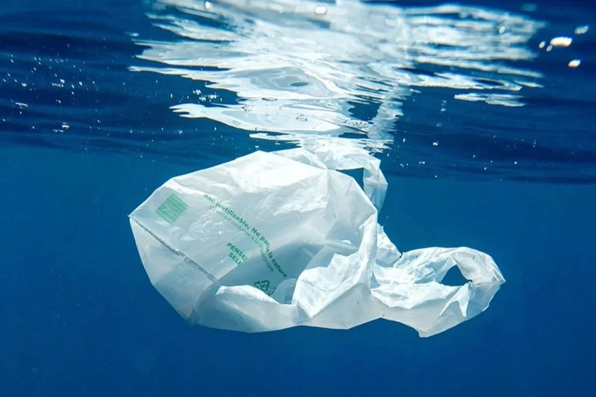 Plastique, Accélérons sa chute !