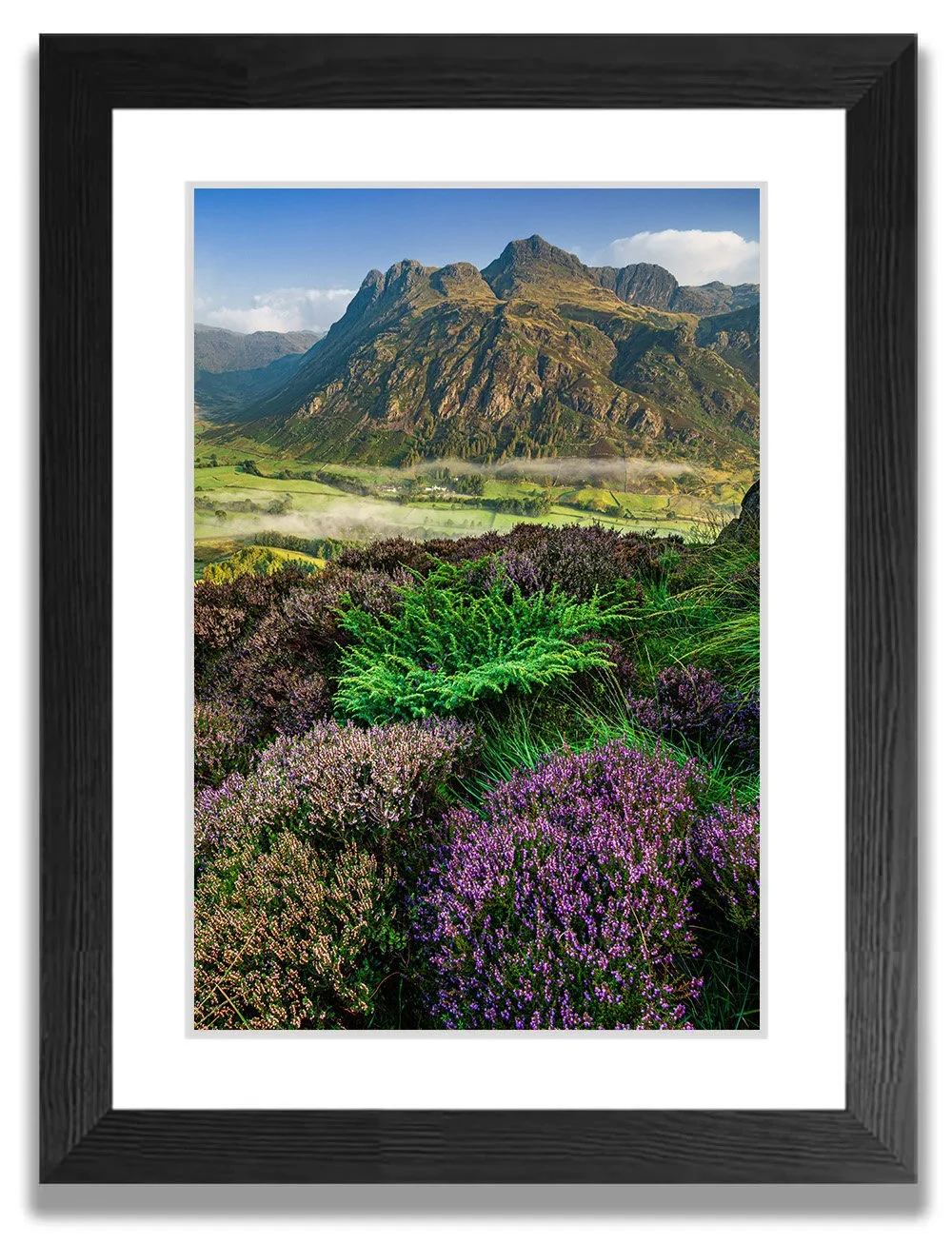 'Lingmoor Fell Heather, Langdales'