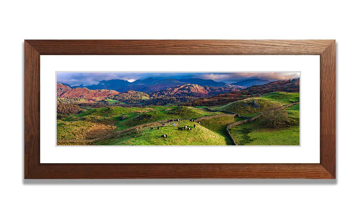 Belted Galloways_Wood_Frame_3x1 - 114.jpg