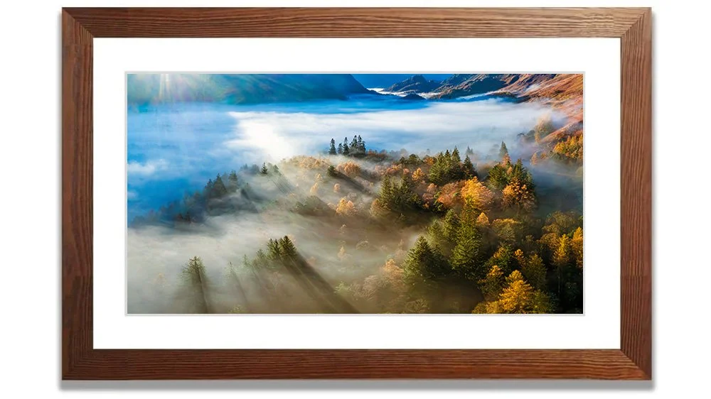 PINES IN THE MIST_Wood_Frame_2x1B - 164.jpg