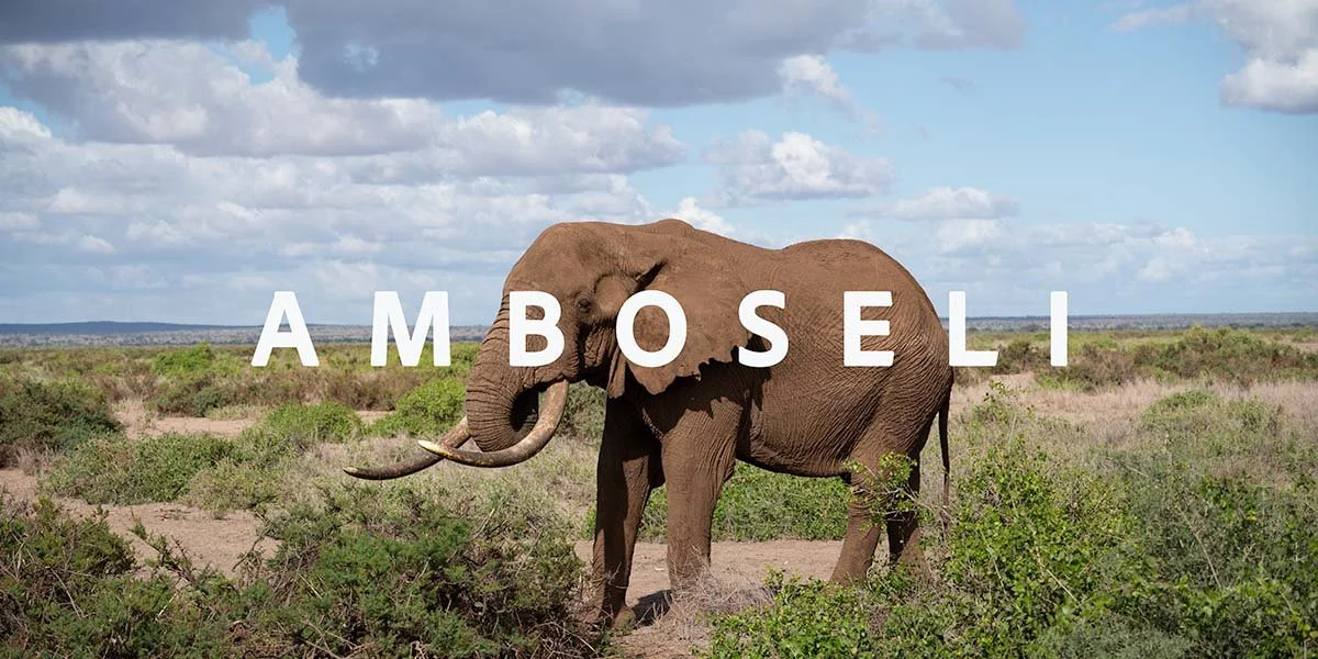Amboseli by Florina's Daughter.jpg