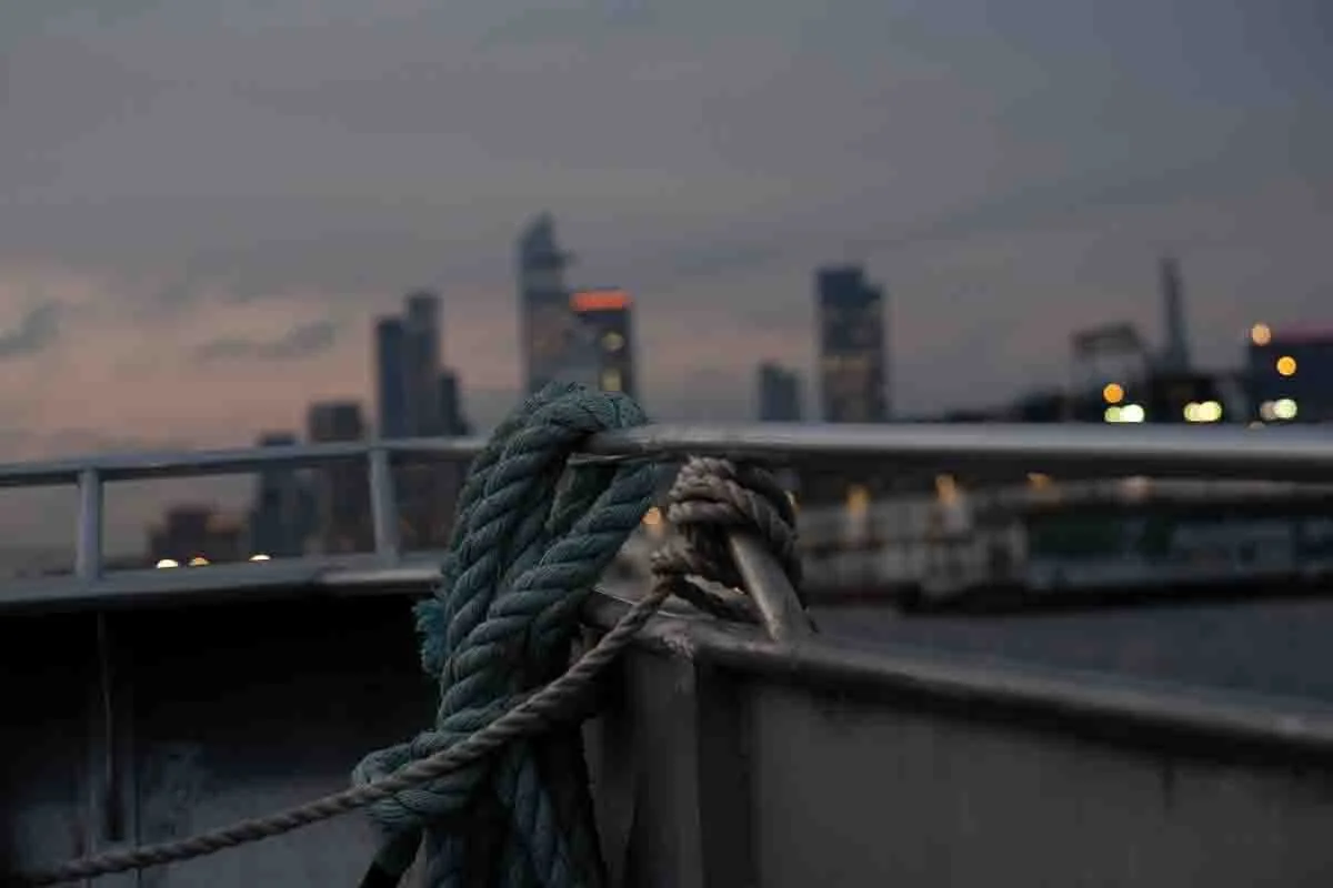 30 May 2025, NZF_1199.jpg