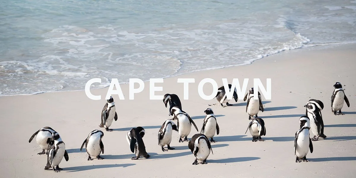 Capetown by Florina's daughter.jpg