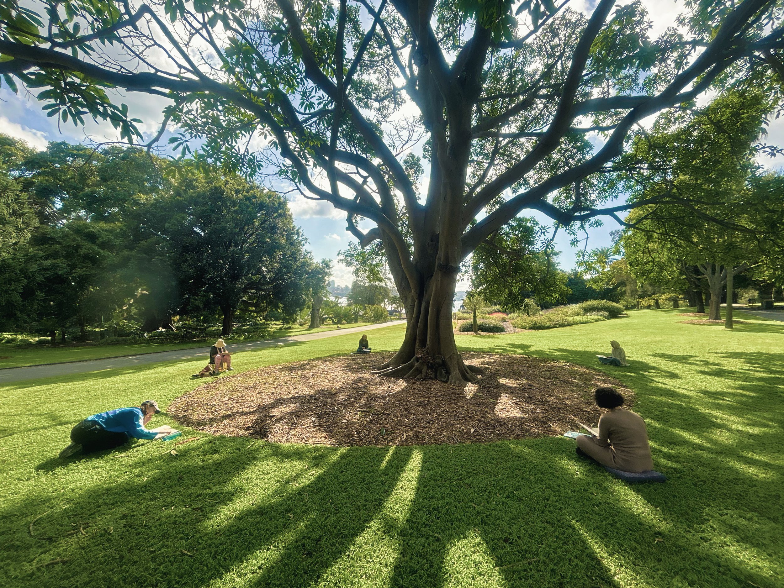 Collective tree 2.jpg