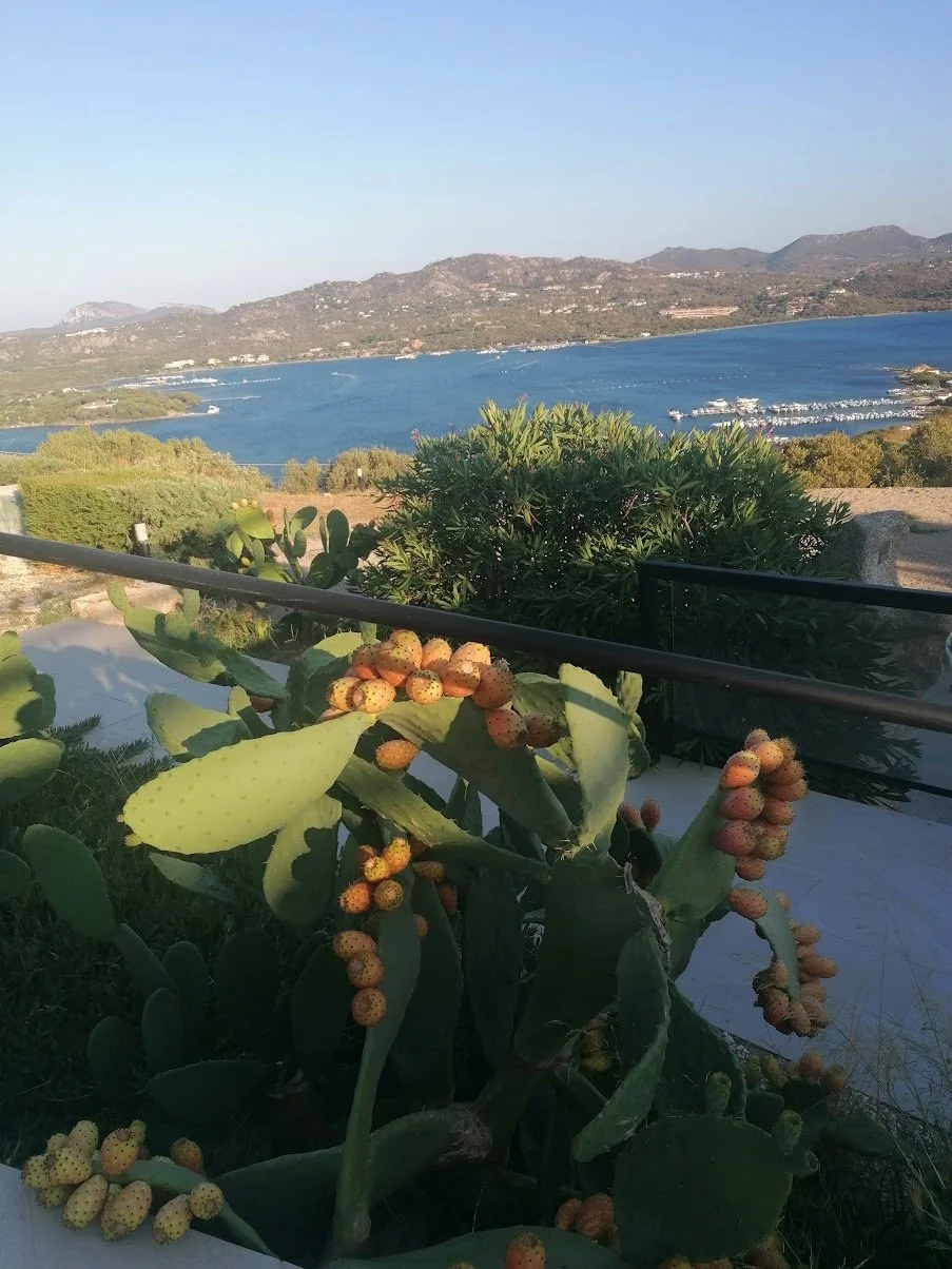 IMG_20250824_184005 (1).jpg