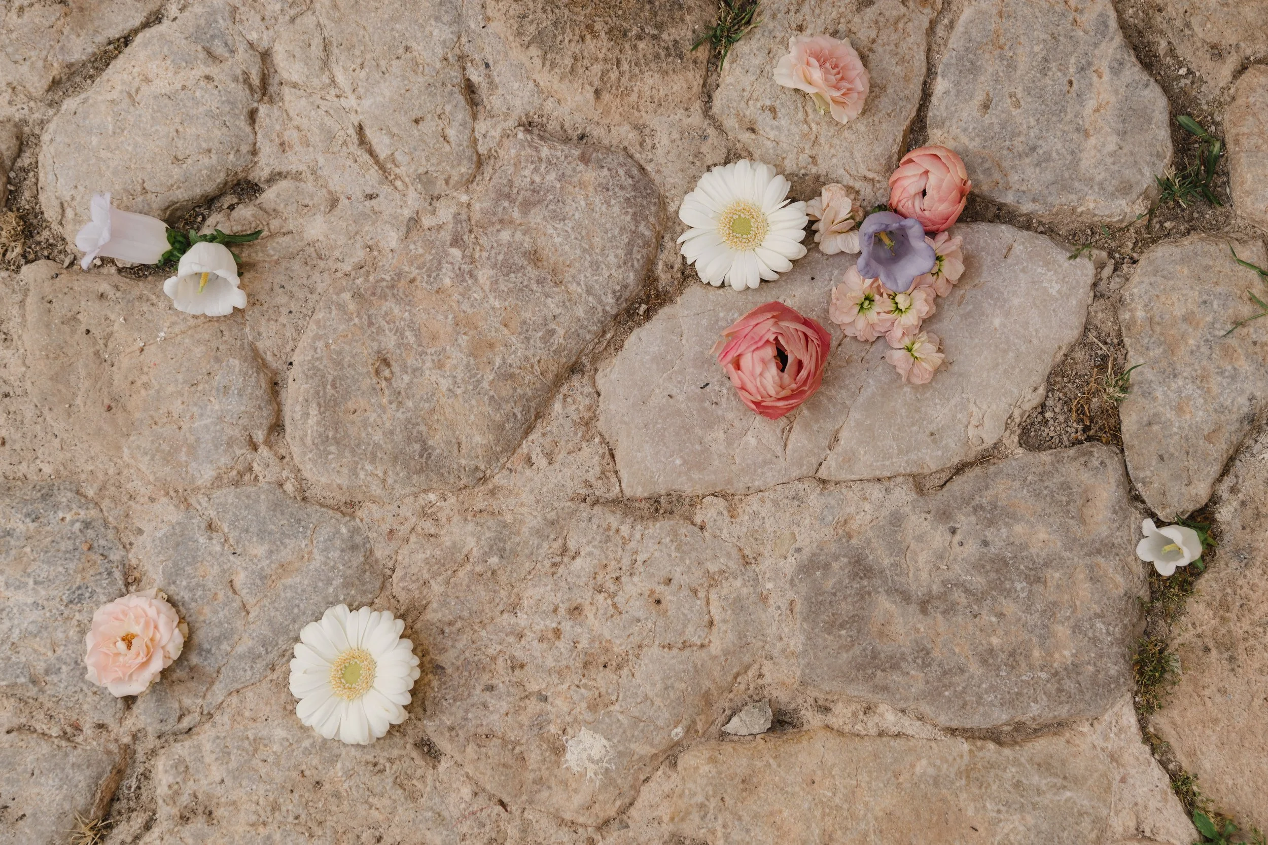 Fotógrafa: Eva Plasencia. Mallorca 2024 