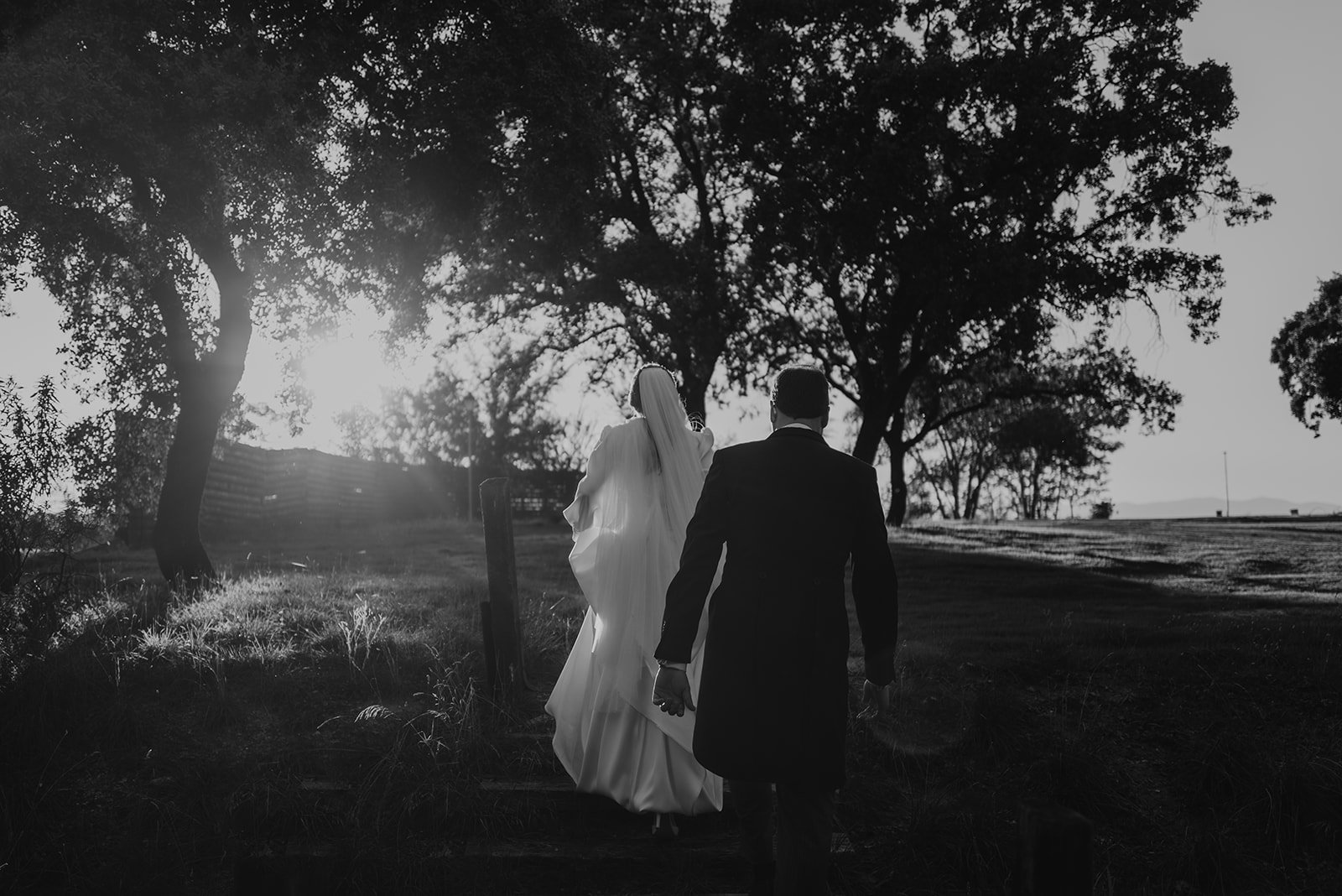 Pareja vestida de boda caminando hacia el atardecer en un entorno natural con árboles y césped.