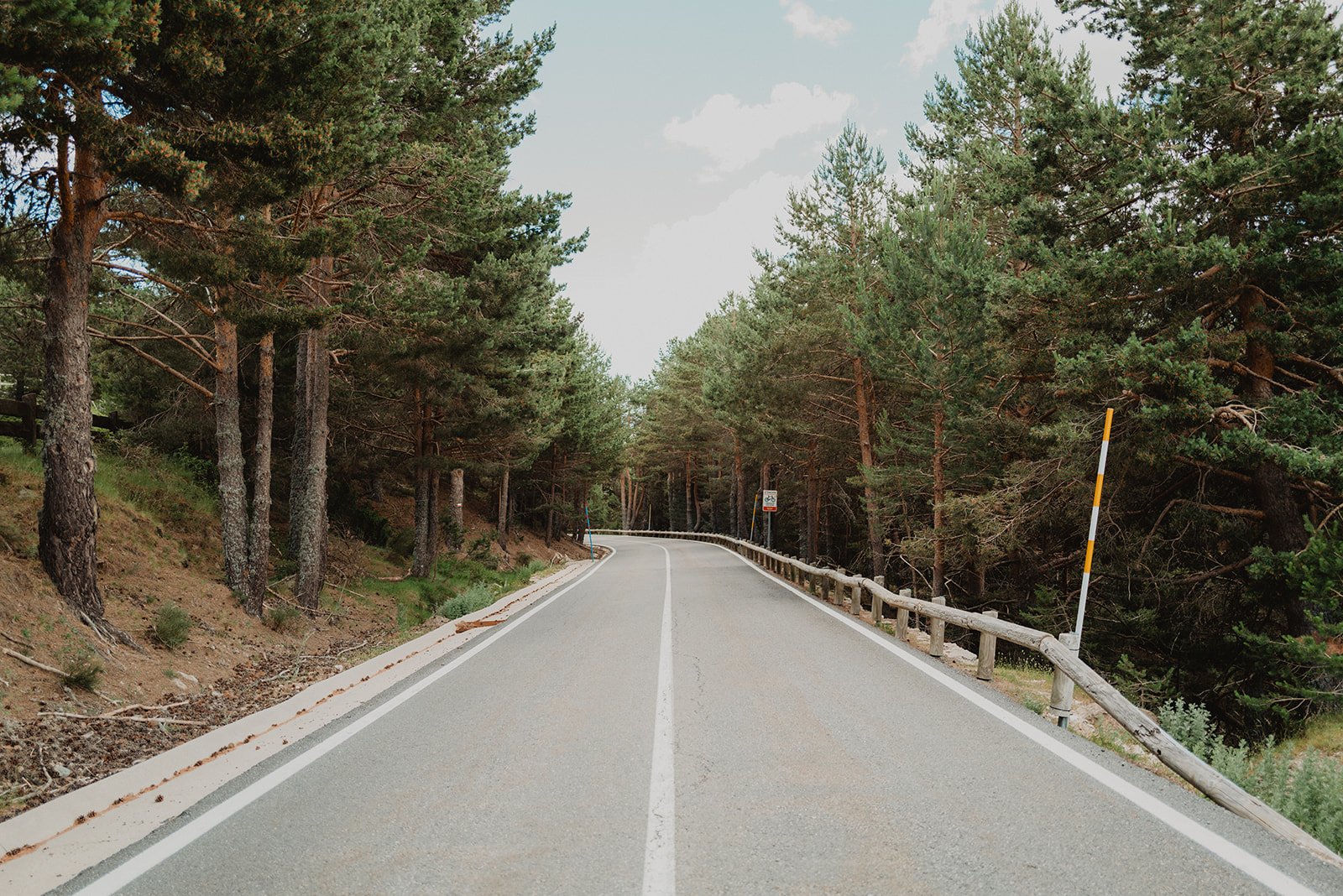 Carretera recta y estrecha rodeada de un bosque de pinos, con cielo despejado.
