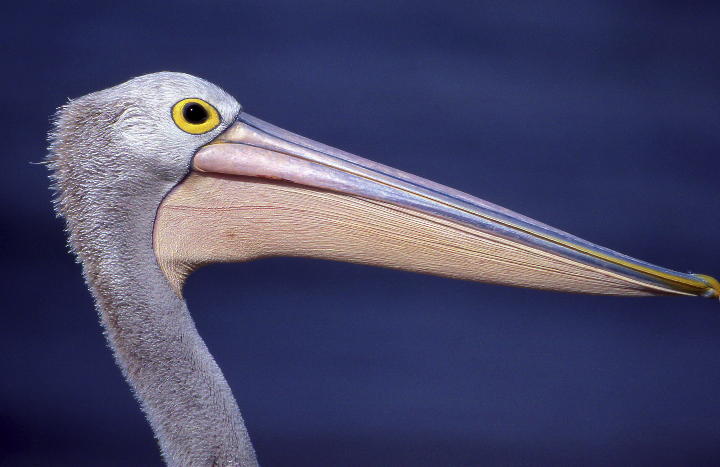 Screenshot 2026-01-25 at 19.49.59.png