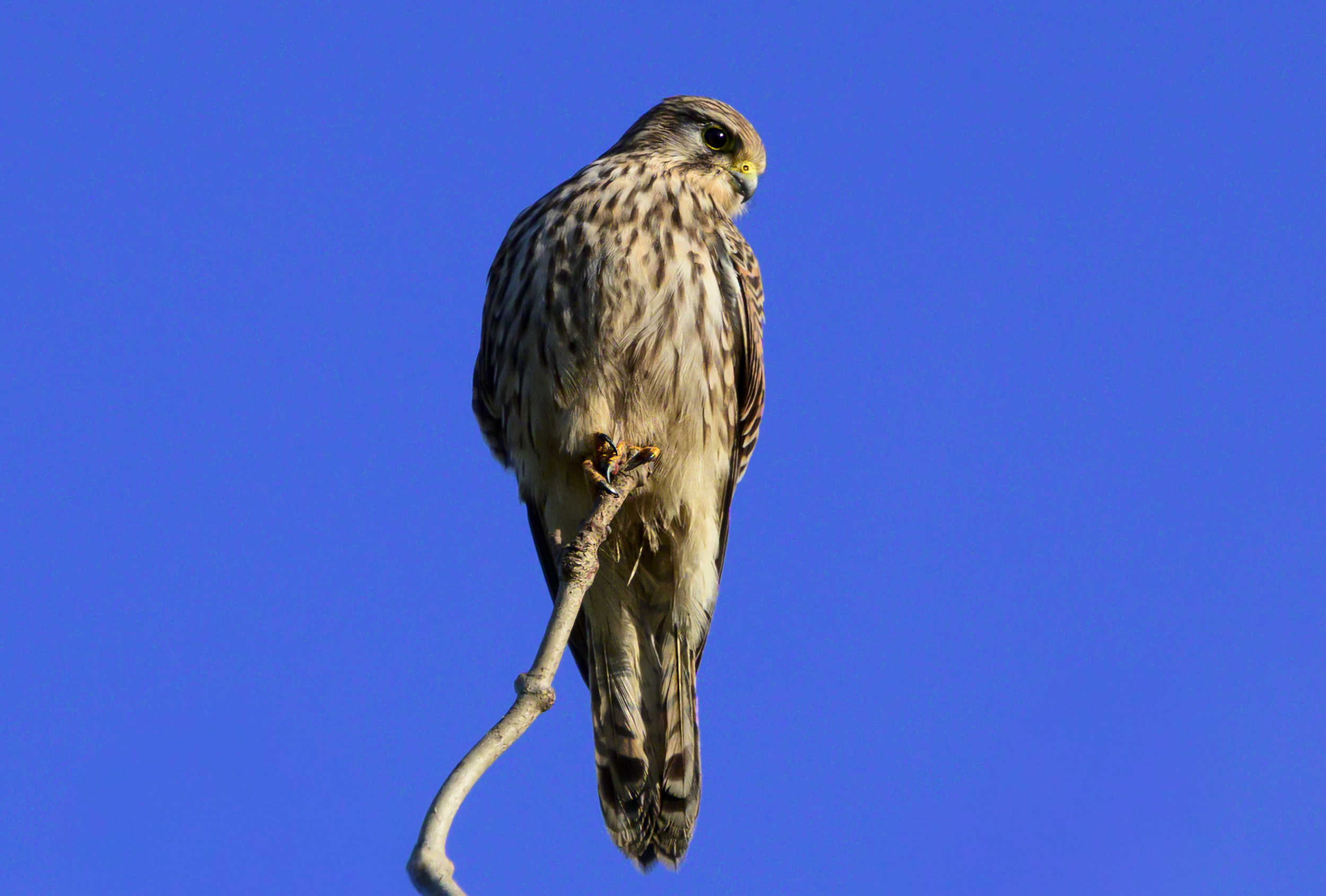 Screenshot 2026-01-10 at 17.54.43.png