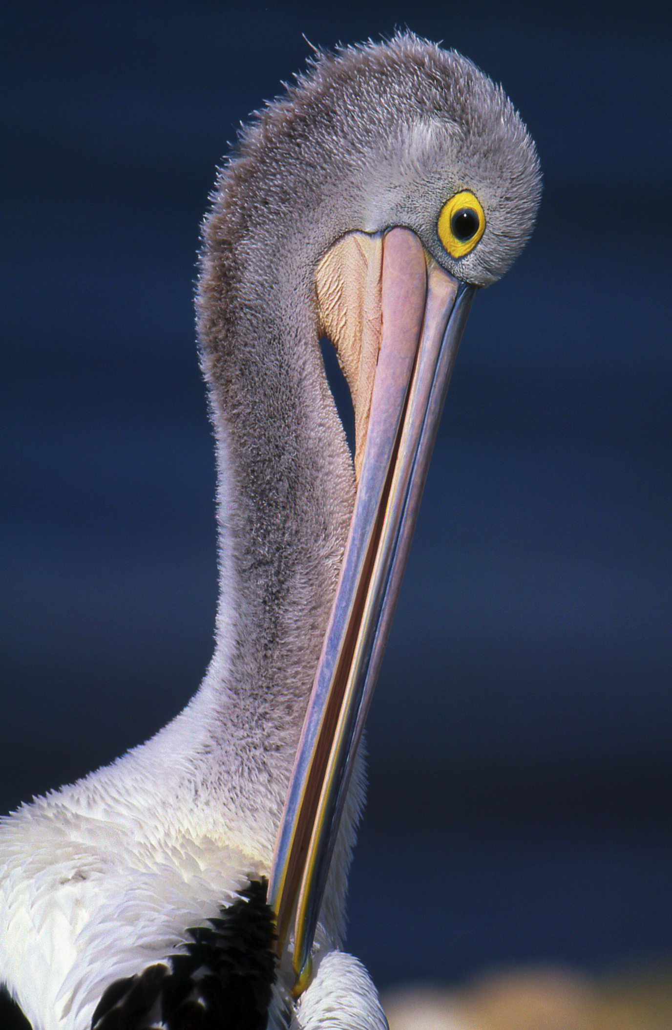 Screenshot 2026-01-25 at 19.54.51.png